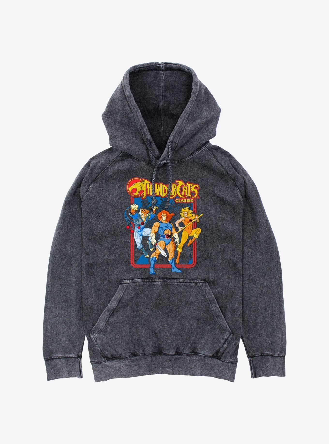 ThunderCats Retro Framed Mineral Wash Hoodie, BLACK, hi-res