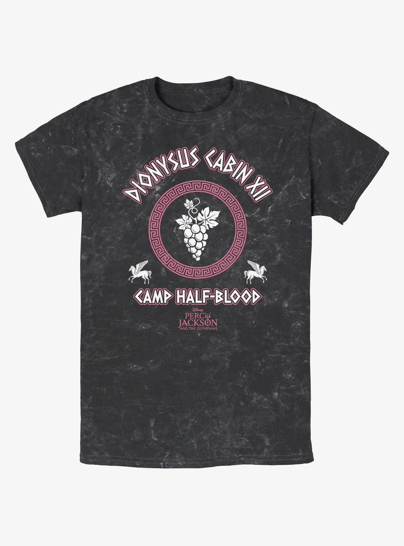 Disney Percy Jackson And The Olympians Dionysus Cabin Mineral Wash T-Shirt, , hi-res