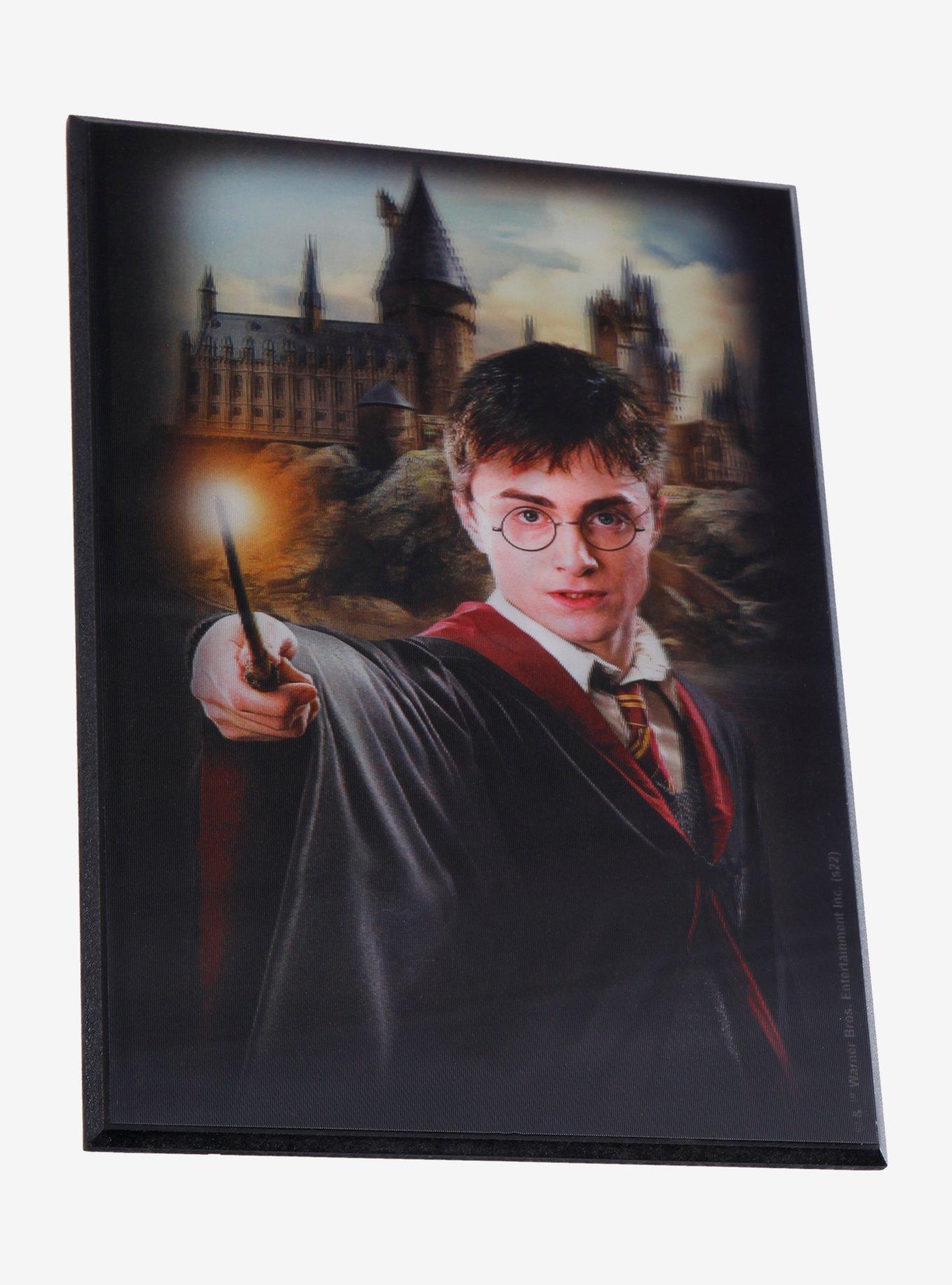 Harry Potter Voldemort Lenticular Wall Art, , hi-res