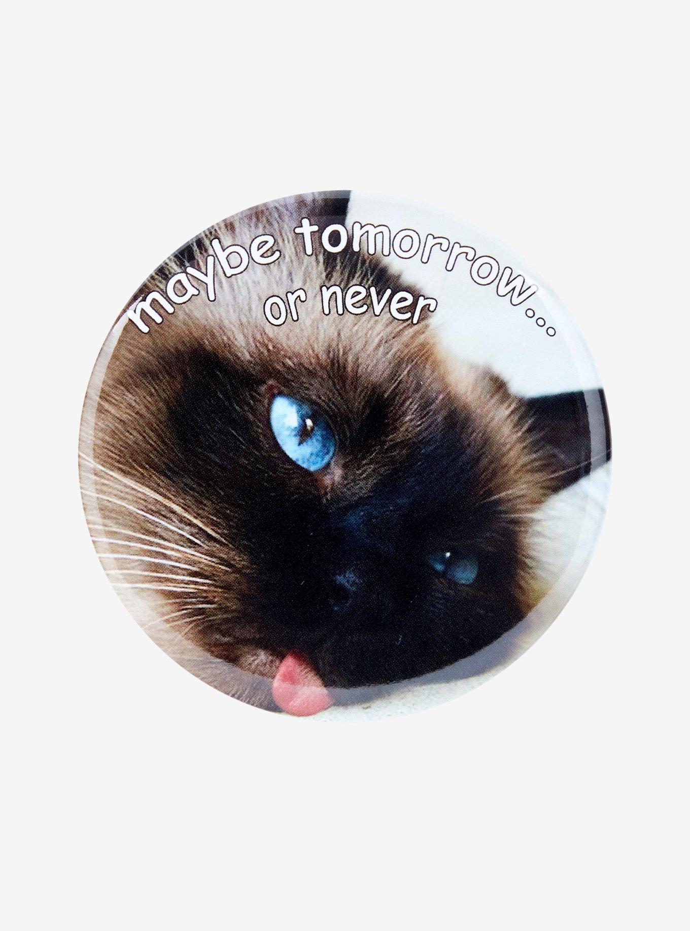 Maybe Tomorrow Cat 3 Inch Button, , hi-res