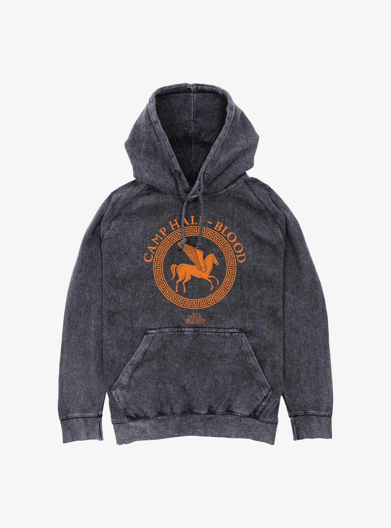 Percy Jackson And The Olympians Camp Half Blood Mineral Wash Hoodie, BLACK, hi-res