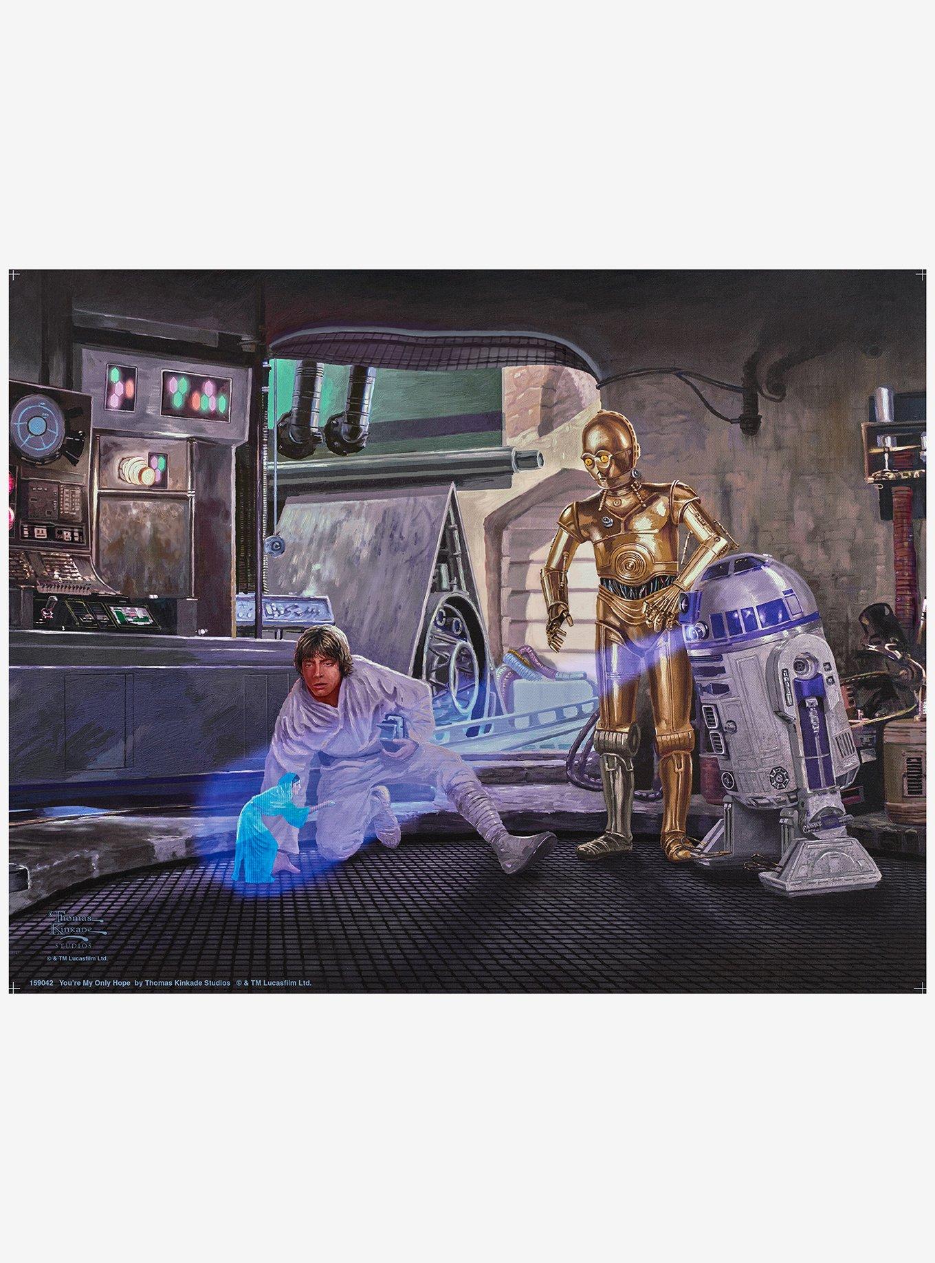 Star Wars You're My Only Hope Art Print, , hi-res