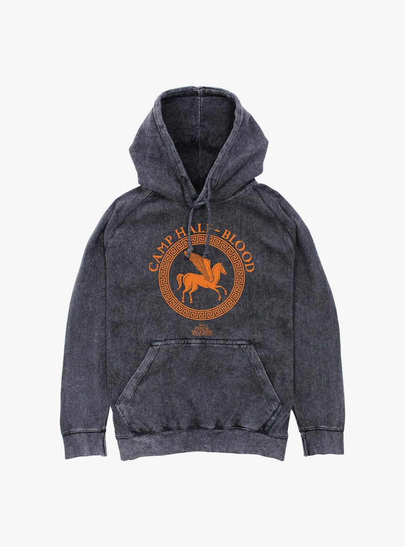 Percy Jackson And The Olympians Camp Half Blood Mineral Wash Hoodie, , hi-res