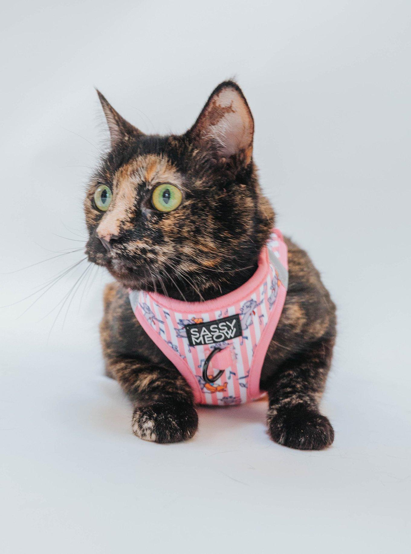 Sassy Woof Disney The Aristocats Kittens Medium Cat Harness — BoxLunch Exclusive
