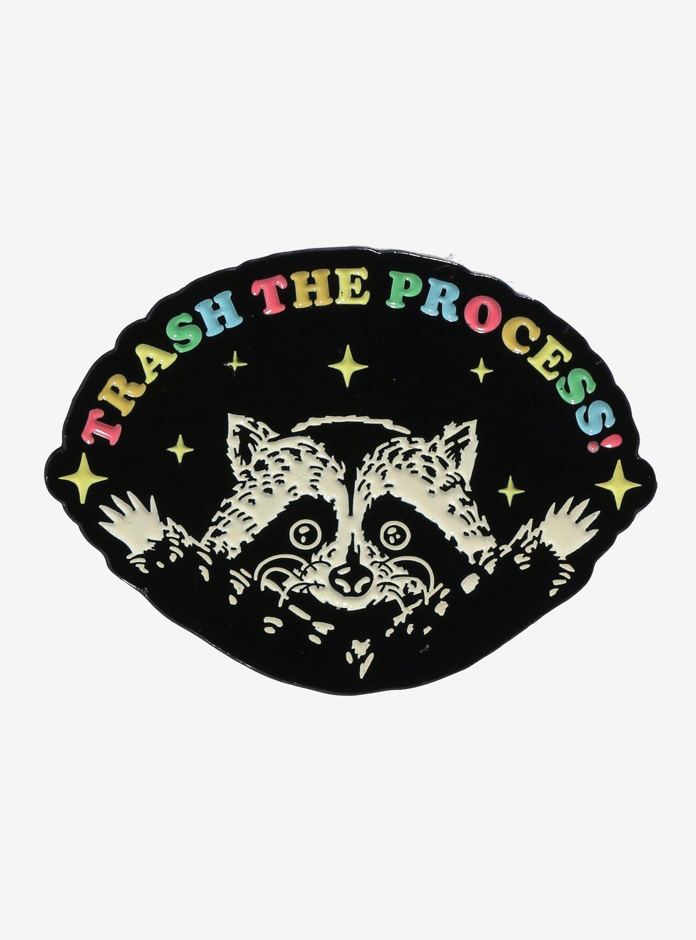 Raccoon Trash The Process Enamel Pin, , hi-res