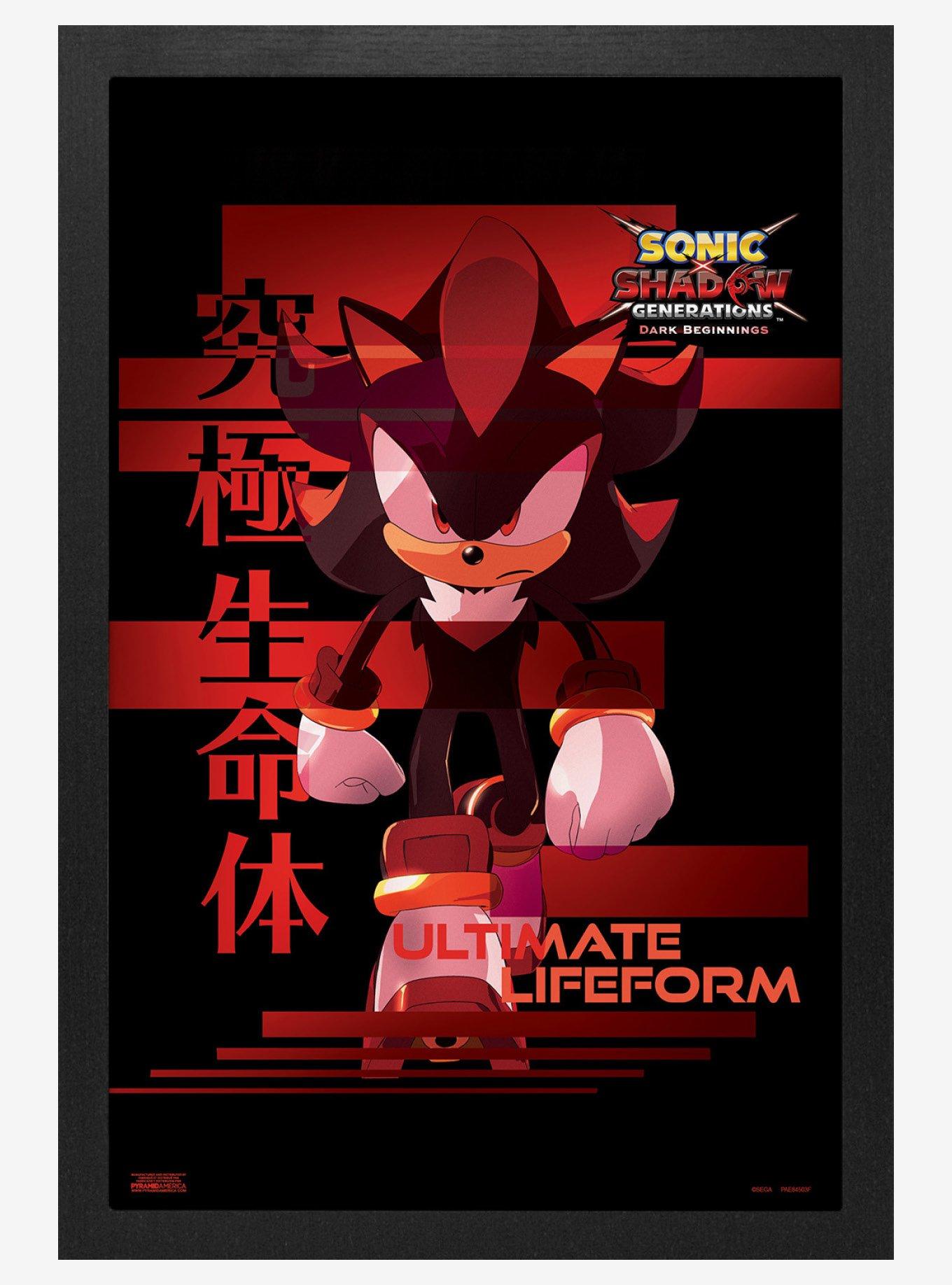 Sonic Shadow Generations Ultimate Lifeform Framed Wall Art, , hi-res