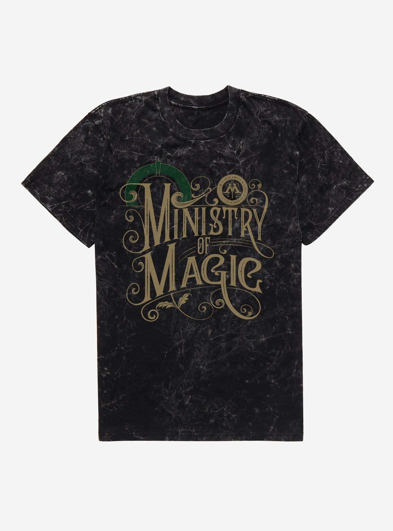 Harry Potter Ministry Of Magic Mineral Wash T-Shirt, , hi-res
