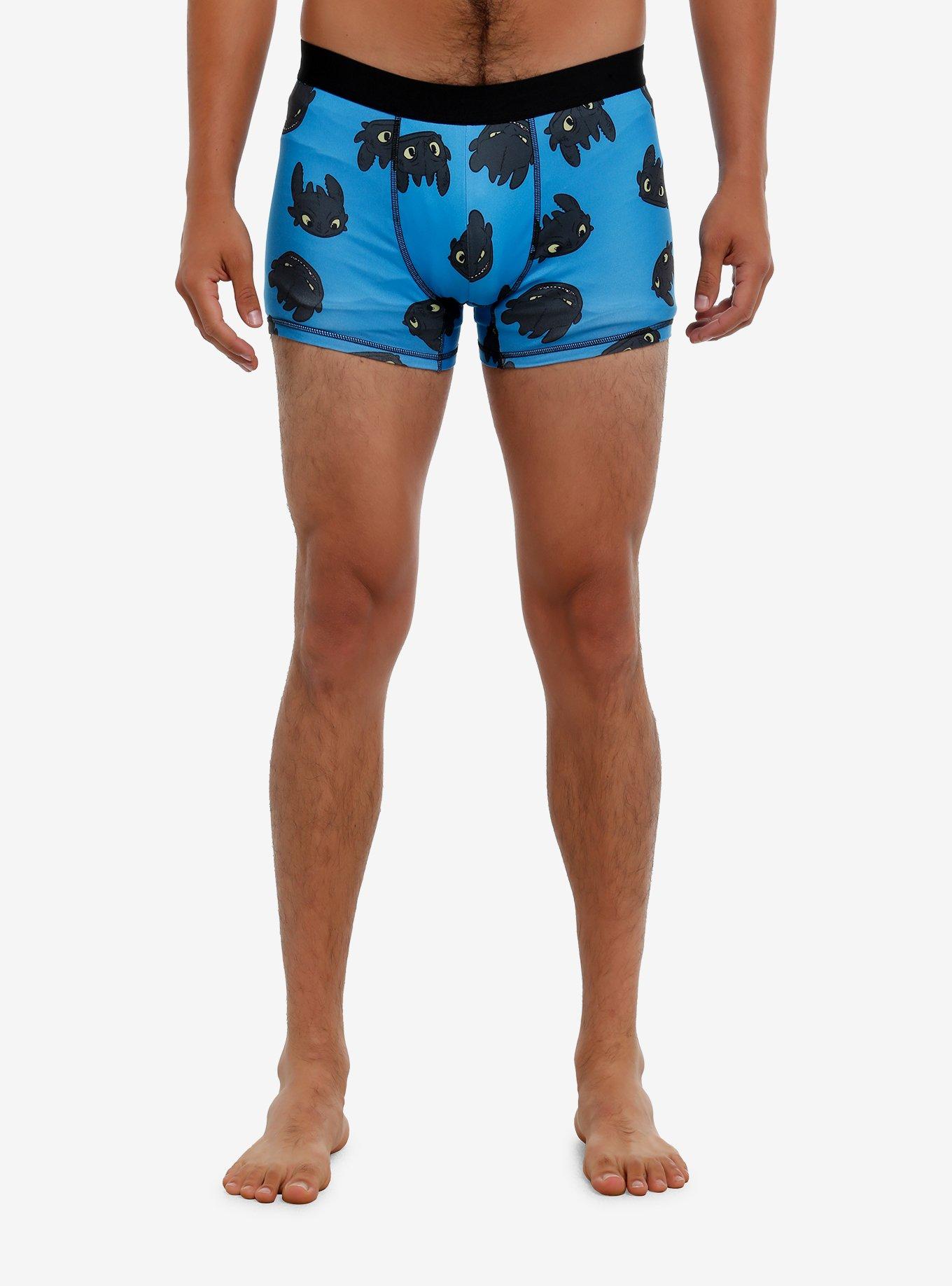 How To Train Your Dragon Toothless Boxer Briefs, , hi-res