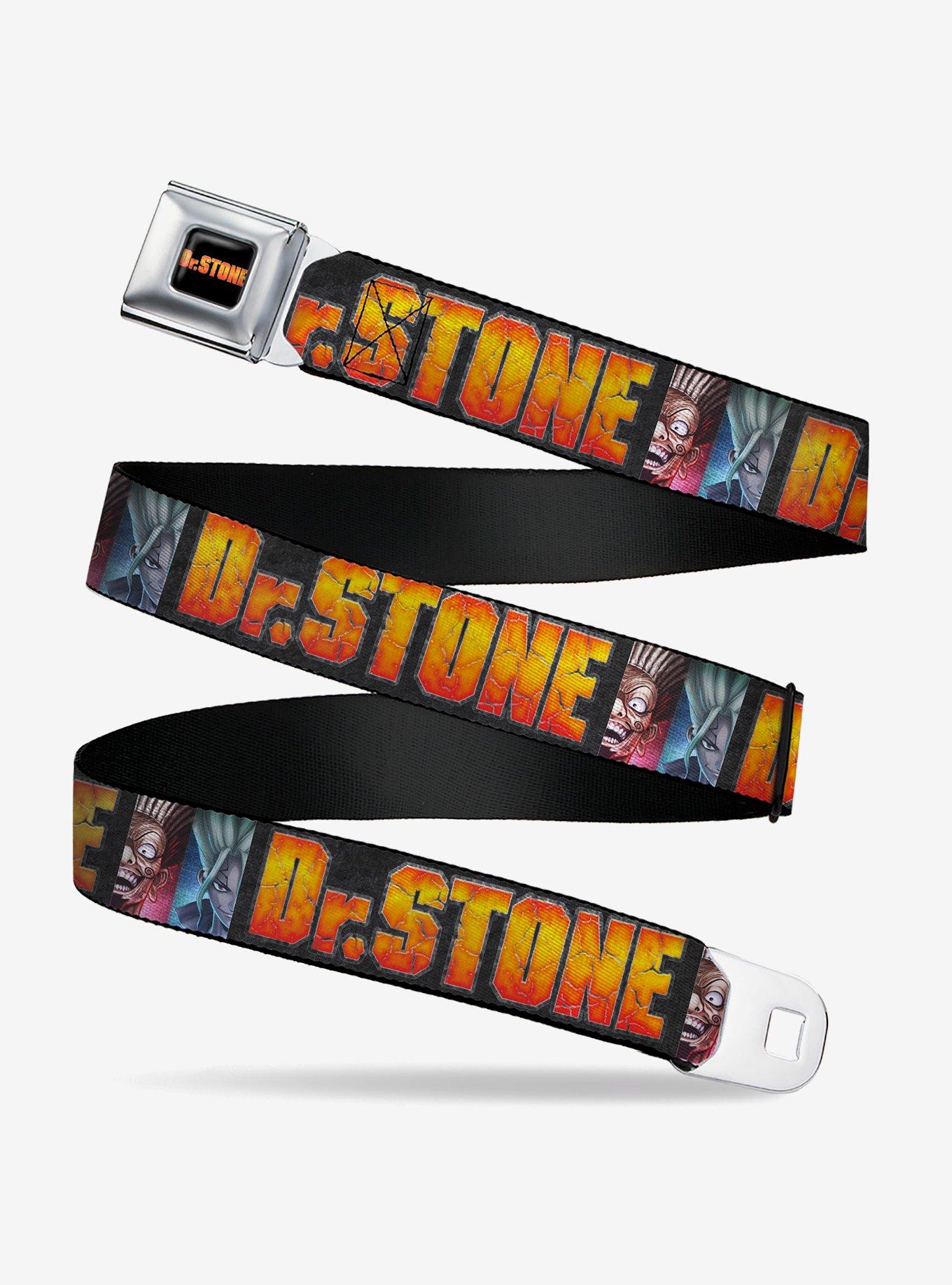 Dr. Stone Title Logo & Ibarra Suika Split Pose Black Seatbelt Buckle Belt, BLACK, hi-res