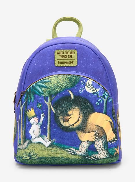 dimensions of a north face backpack Women's Borealis Backpack - 27L