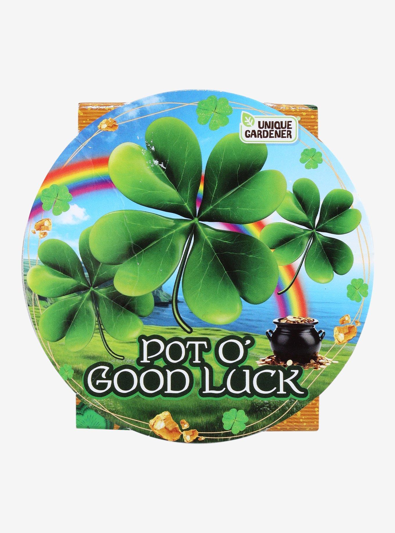 Pot O' Good Luck Shamrock Grow Kit, , hi-res