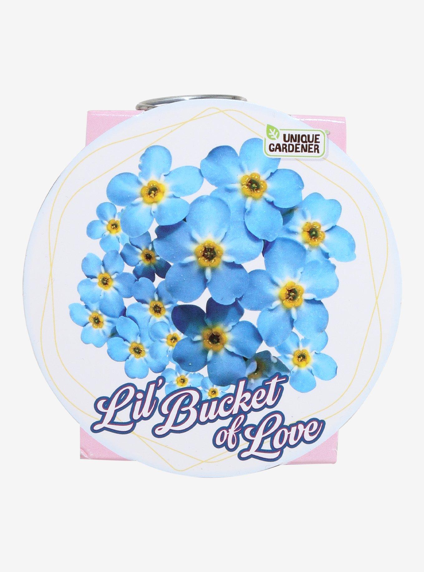 Lil' Bucket of Love Forget-Me-Not Grow Kit, , hi-res