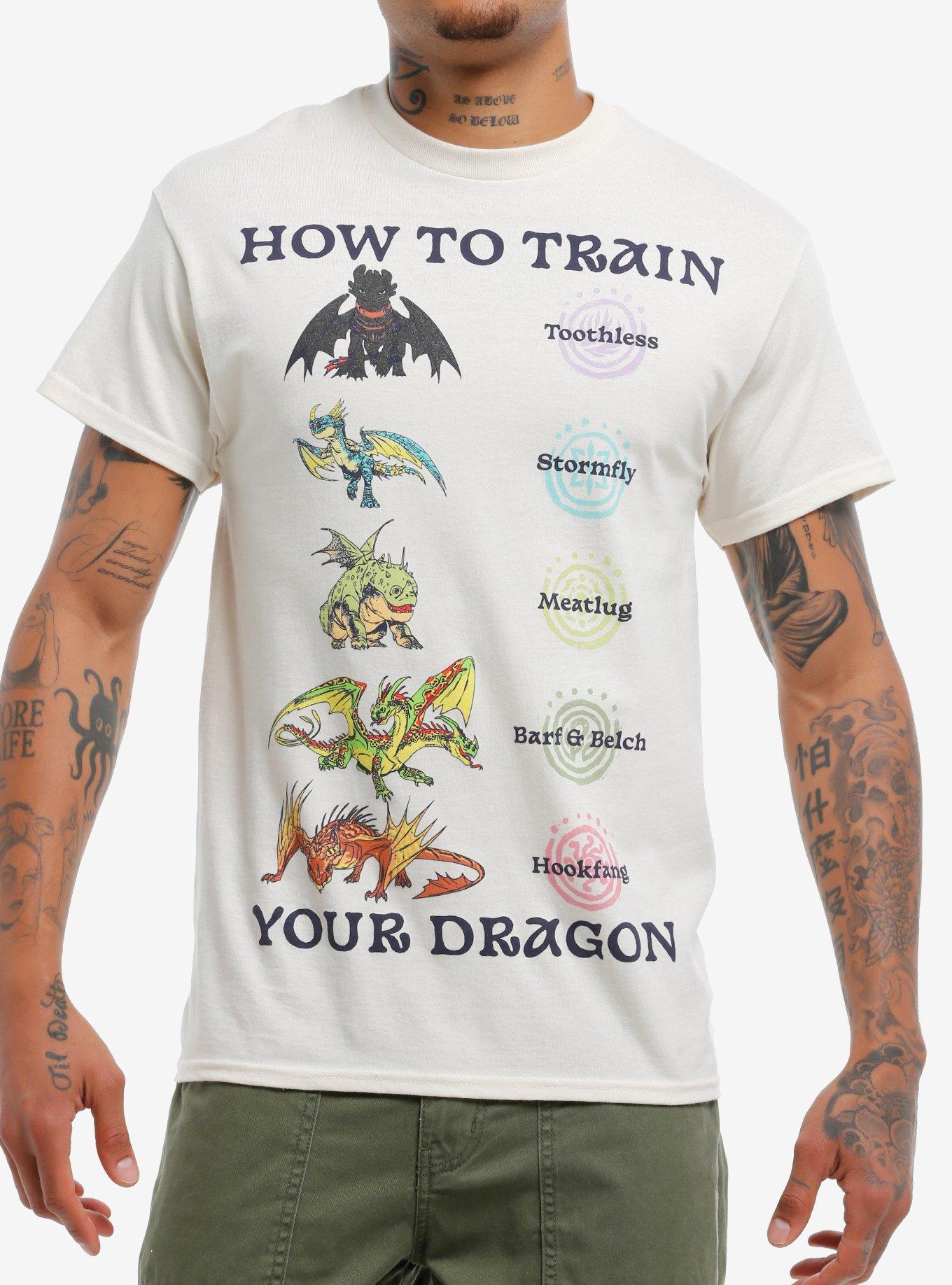 How To Train Your Dragon Night Group T-Shirt