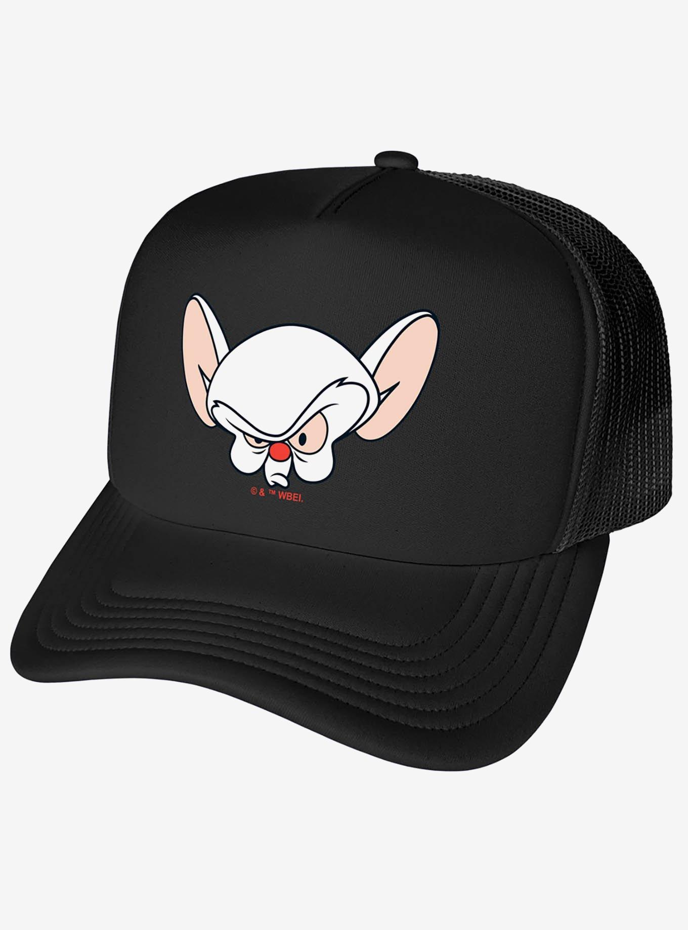 Pinky And The Brain Brain Head Foam Trucker Hat, , hi-res