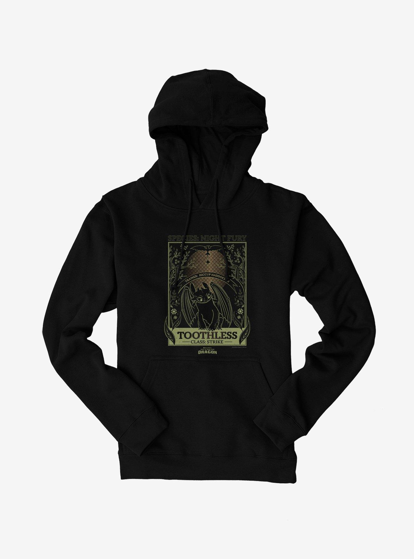 How To Train Your Dragon Toothless Species Card Hoodie