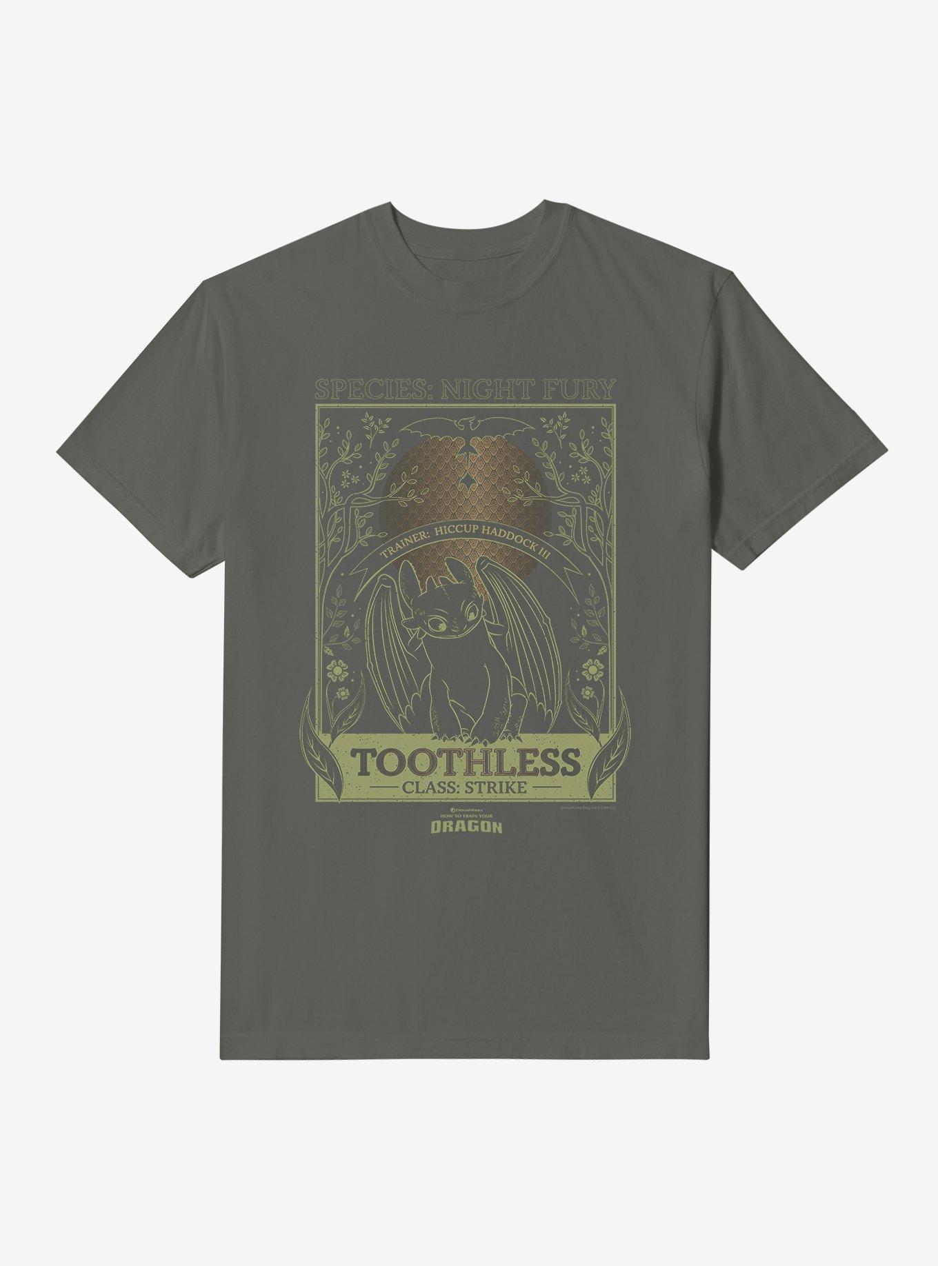 How To Train Your Dragon Toothless Species Card Garment Dye T-Shirt, , hi-res
