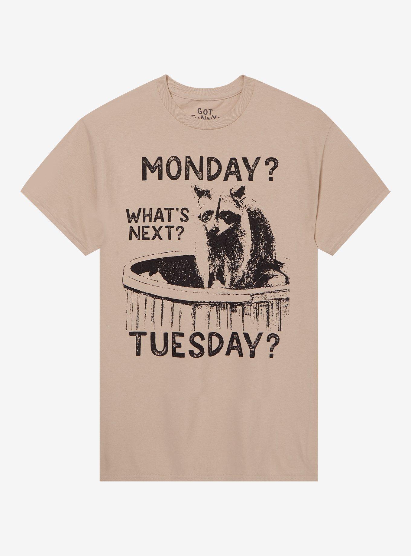 Raccoon Days Of The Week T-Shirt By Got Funny?, , hi-res