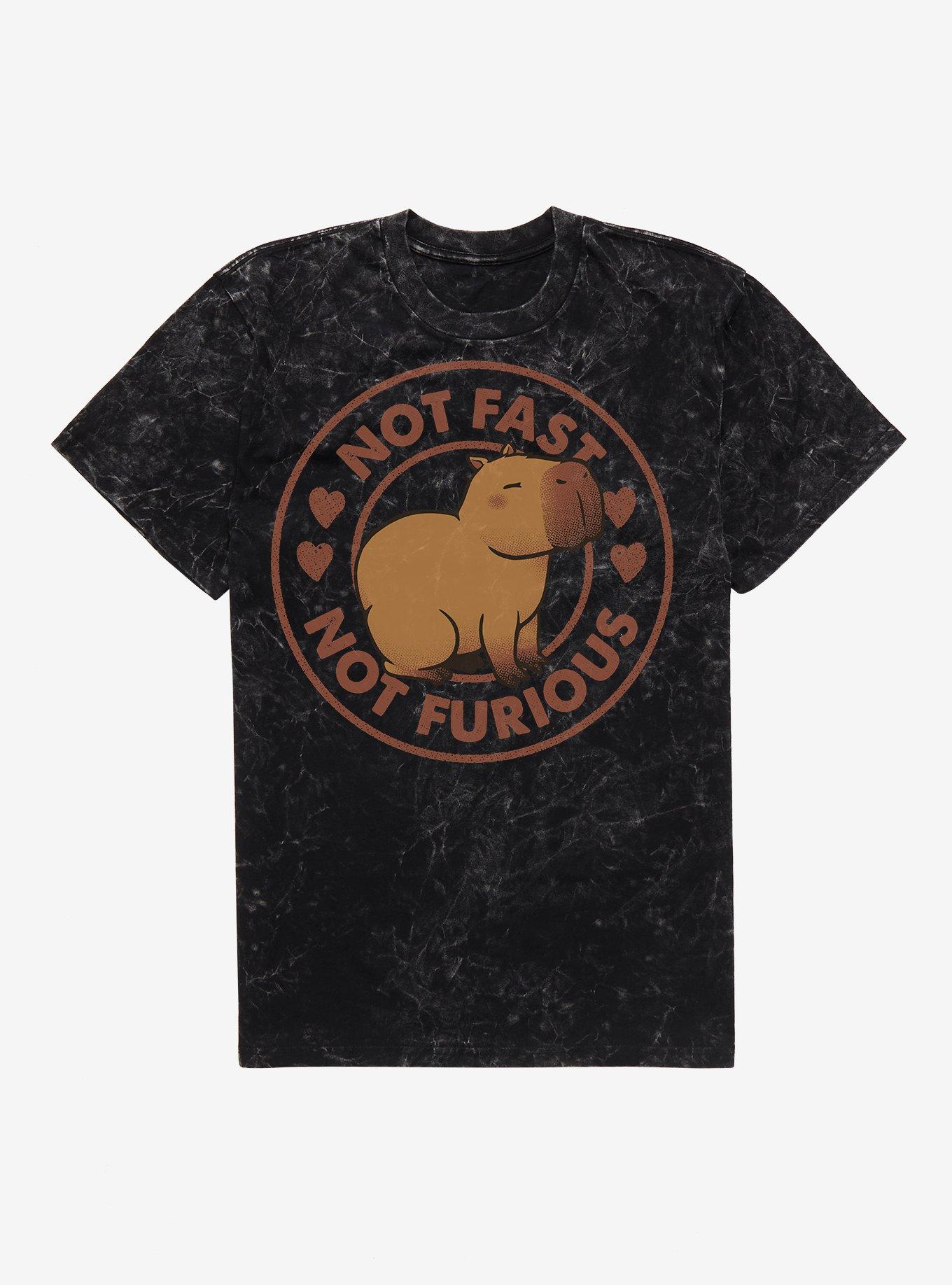 Not Fast Not Furious Capybara Mineral Wash T-Shirt, , hi-res
