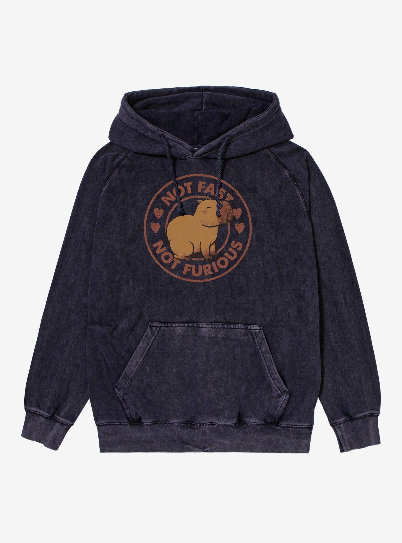 Not Fast Not Furious Capybara Mineral Wash Hoodie, , hi-res
