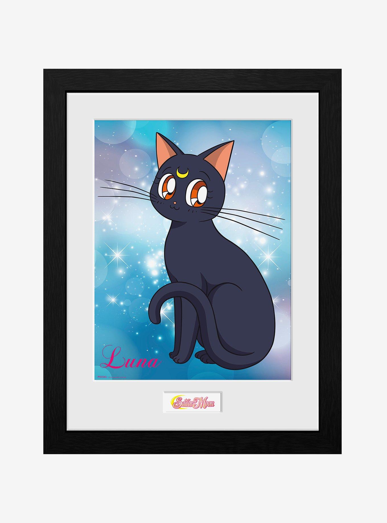 Pretty Guardian Sailor Moon Luna Framed Poster, , hi-res