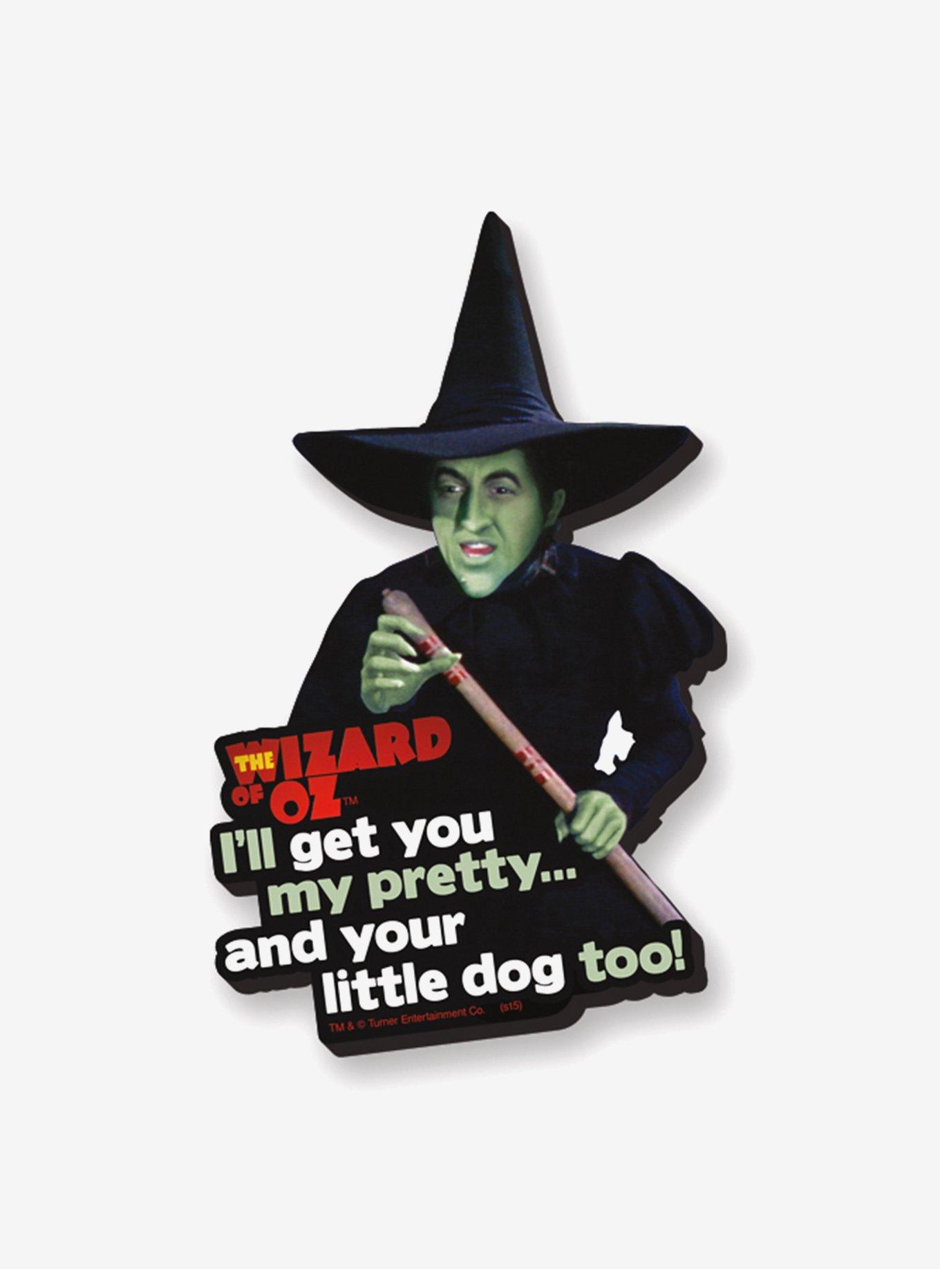 The Wizard of Oz Wicked Witch Quote Chunky Magnet, , hi-res