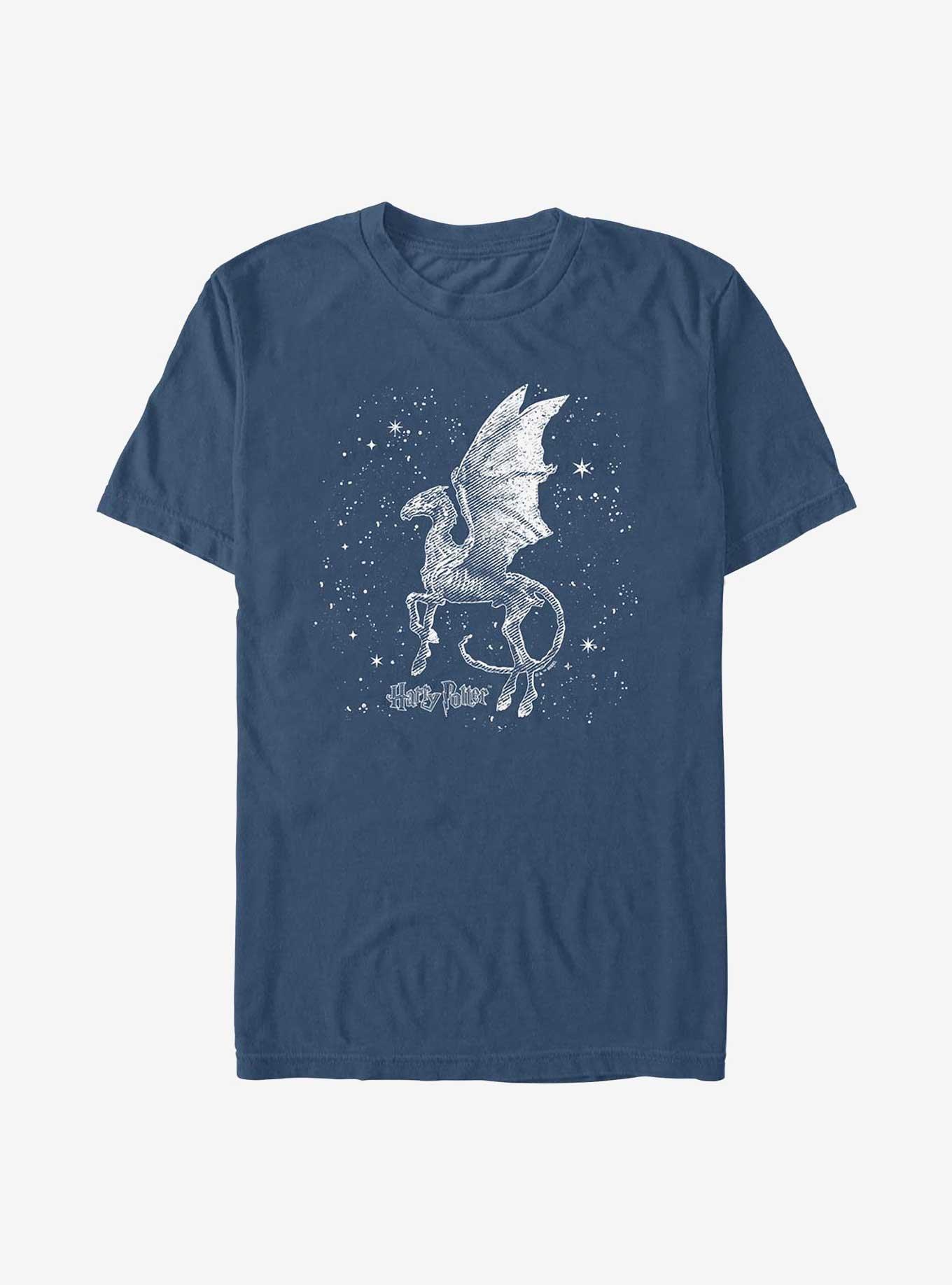 Harry Potter Thestral Moon Garment Dye T-Shirt, MIDNIGHT, hi-res