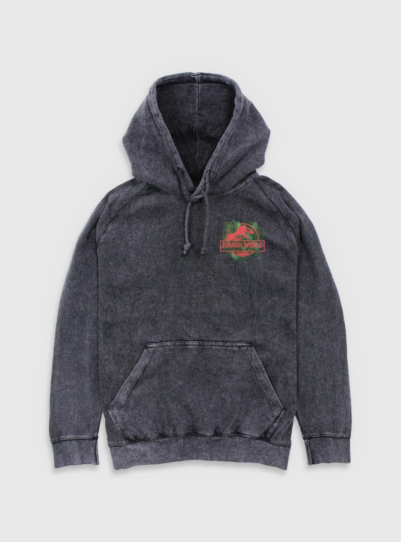 Jurassic Park Life Found A Way Aquilops Mineral Wash Hoodie BoxLunch Exclusive, , hi-res