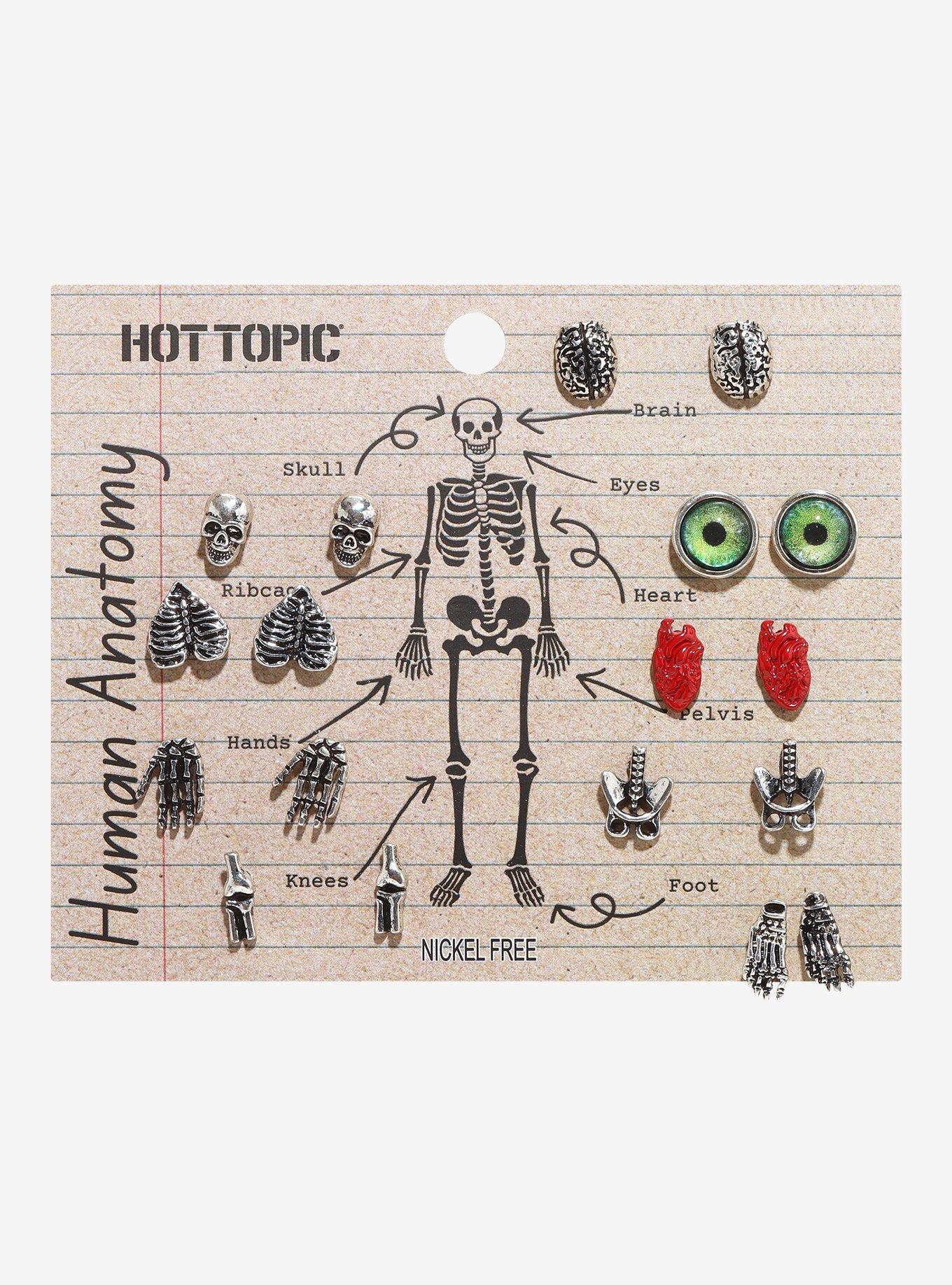 Human Anatomy Stud Earring Set, , hi-res