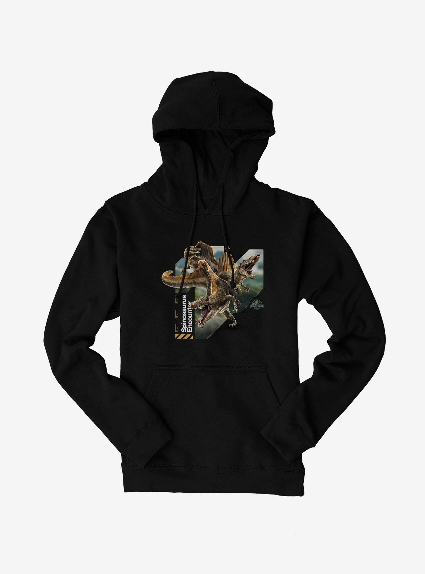 Jurassick World Rebirth Spinosaurs Encounter Hoodie, BLACK, hi-res