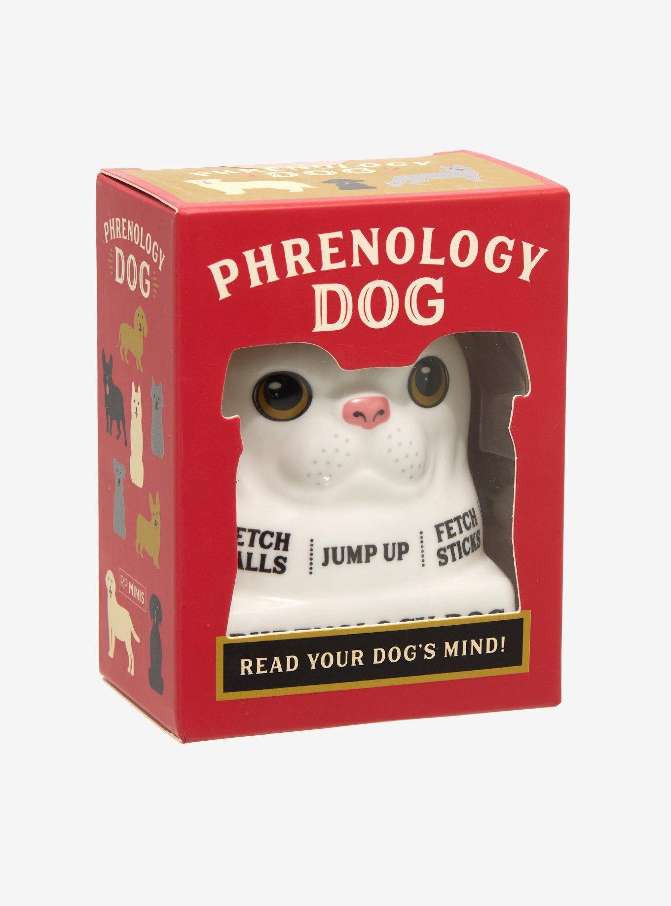 Phrenology Dog Figure, , hi-res