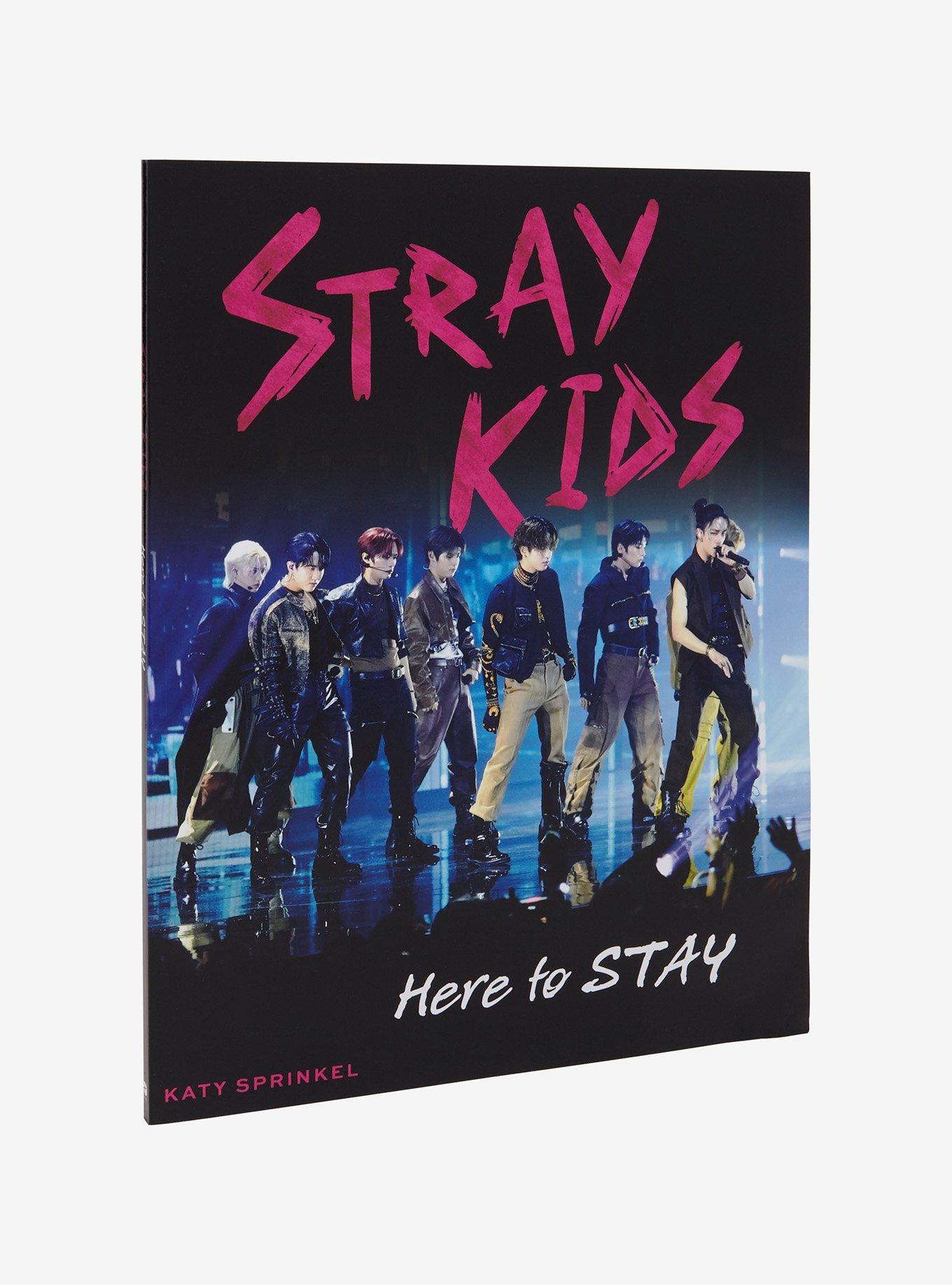 Stray Kids: Here To Stay Book, , hi-res