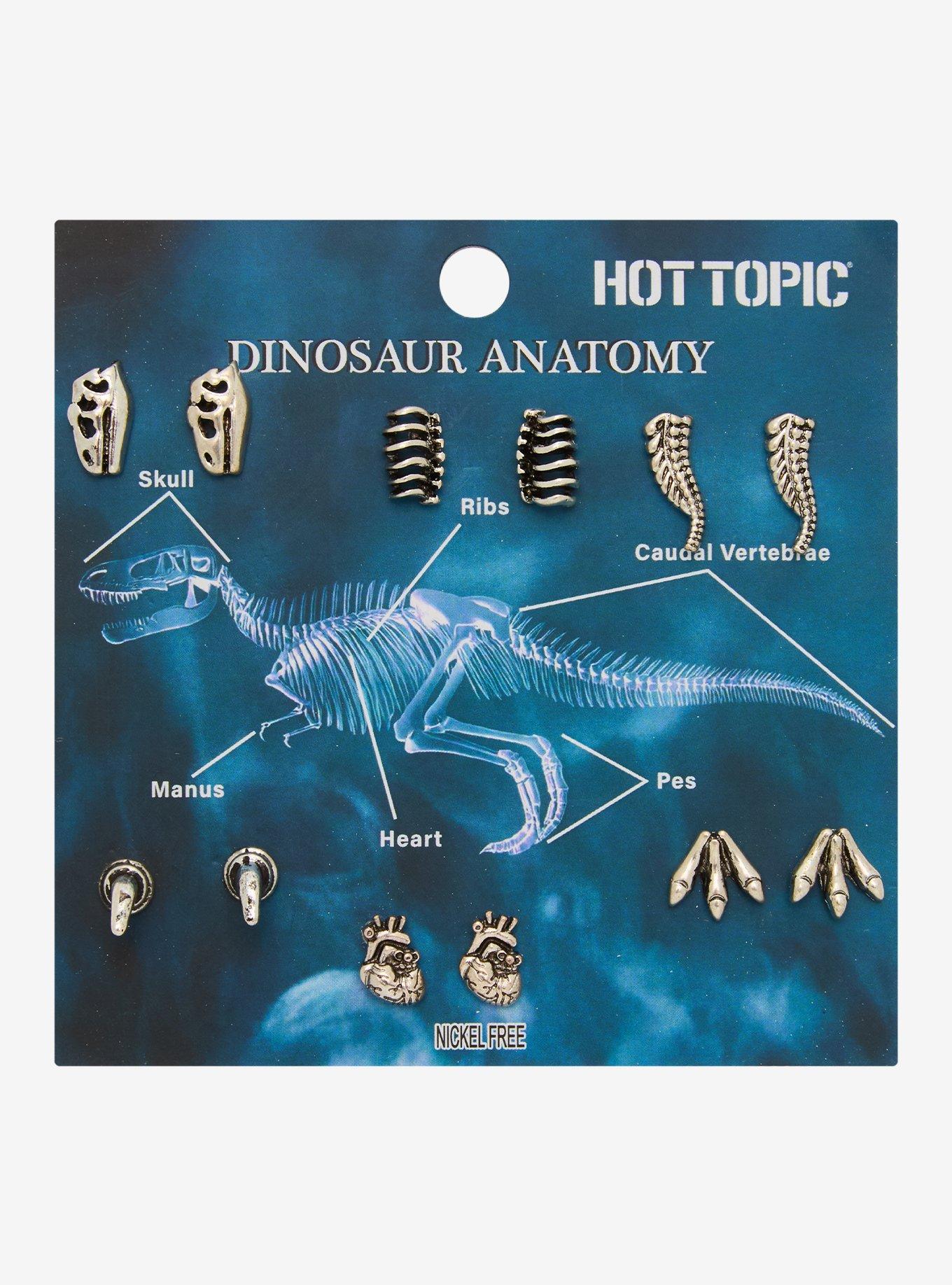 Dinosaur Anatomy Stud Earring Set, , hi-res