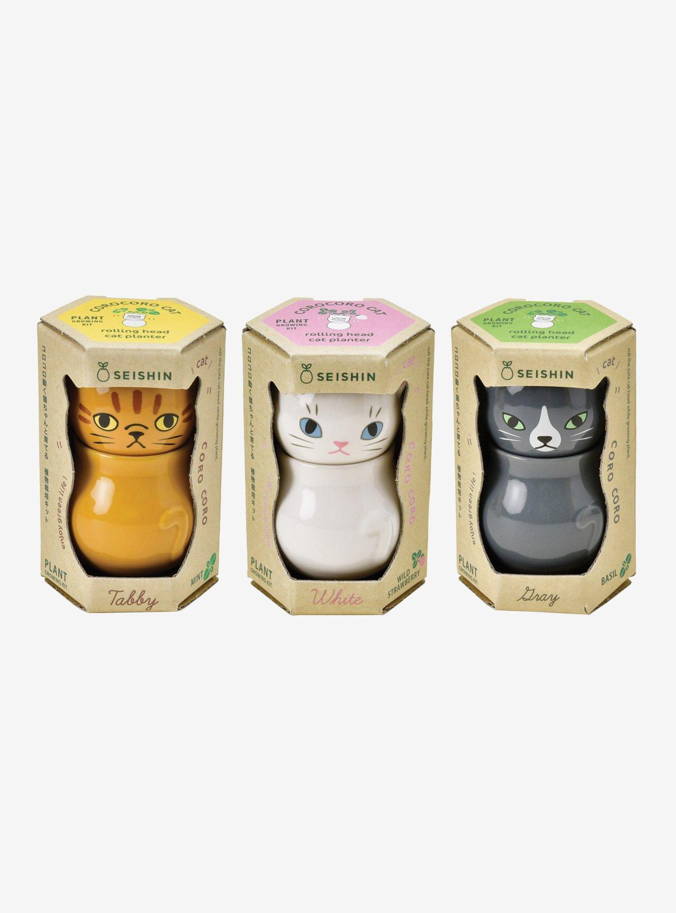 Seishin Coro Coro Cat Wild Blind Assorted Planter, , hi-res