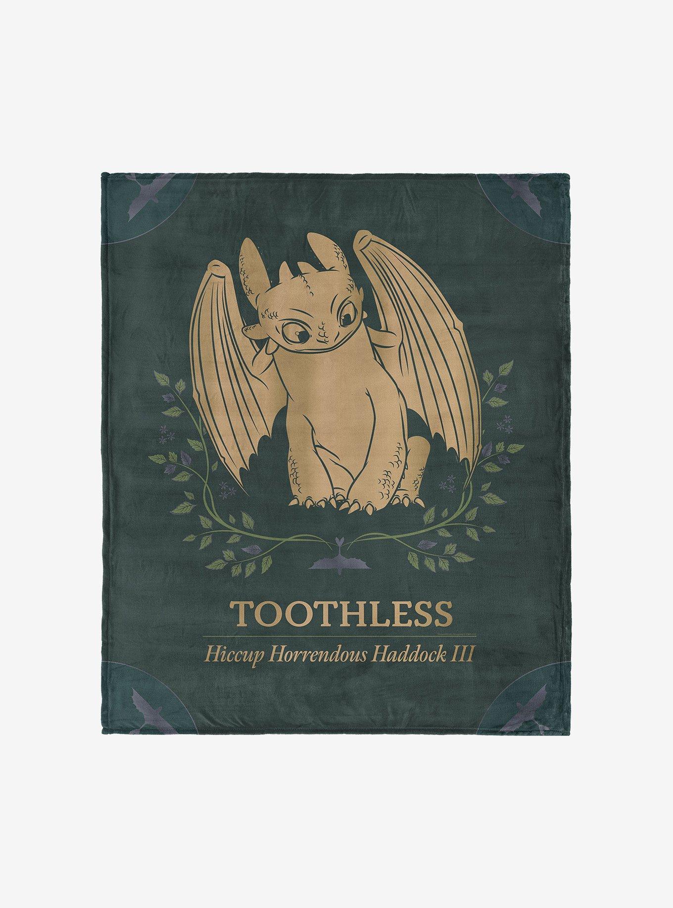 How to Train Your Dragon Hiccup and Toothless 60x80" Silk Touch Throw Blanket, , hi-res