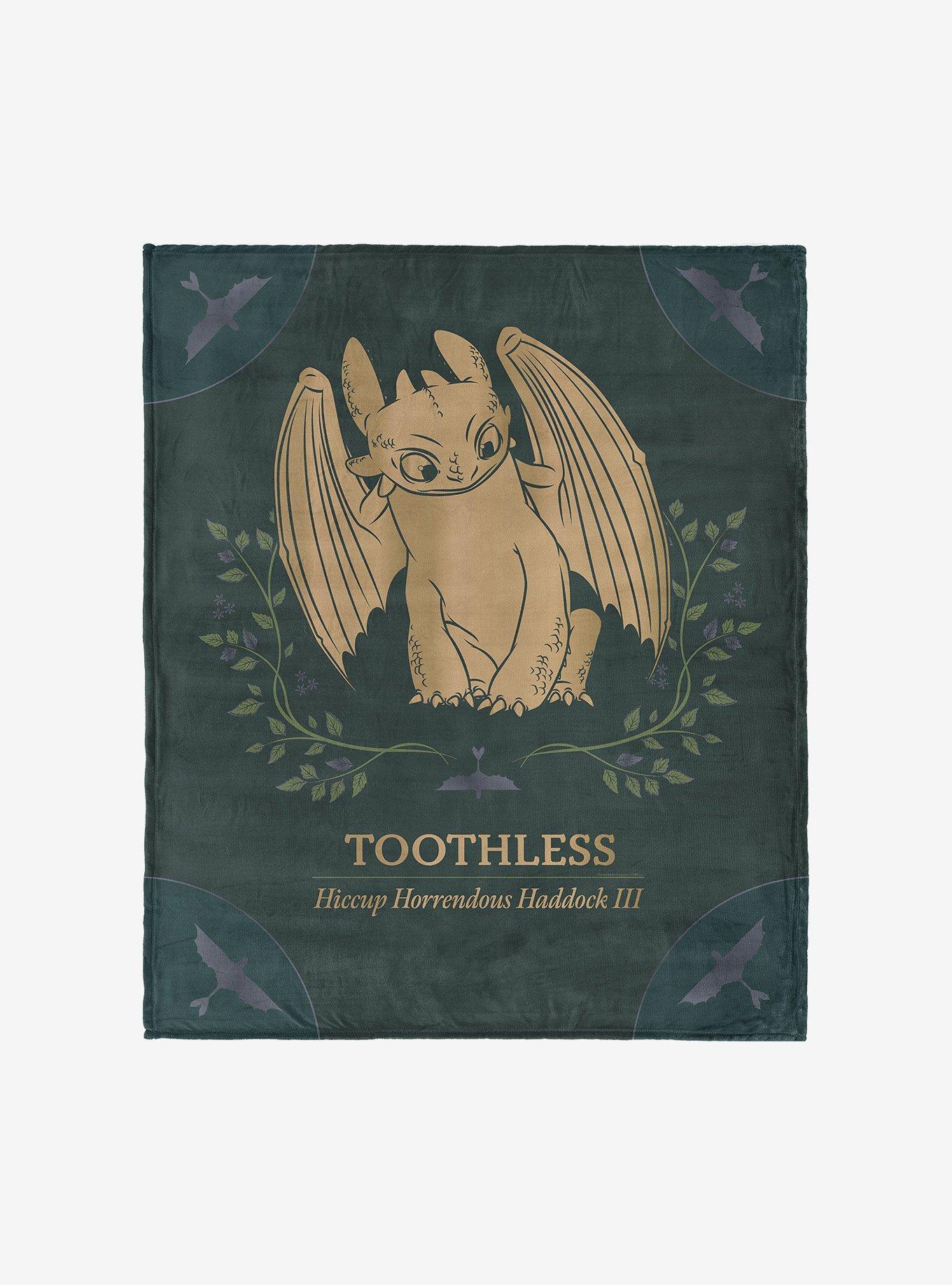 How to Train Your Dragon Hiccup and Toothless 40x50" Silk Touch Throw Blanket, , hi-res