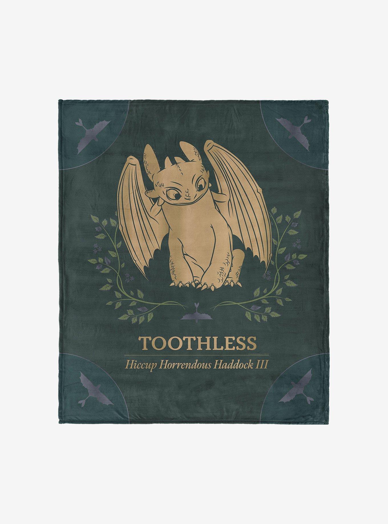 How to Train Your Dragon Hiccup and Toothless 50x60" Silk Touch Throw Blanket, , hi-res