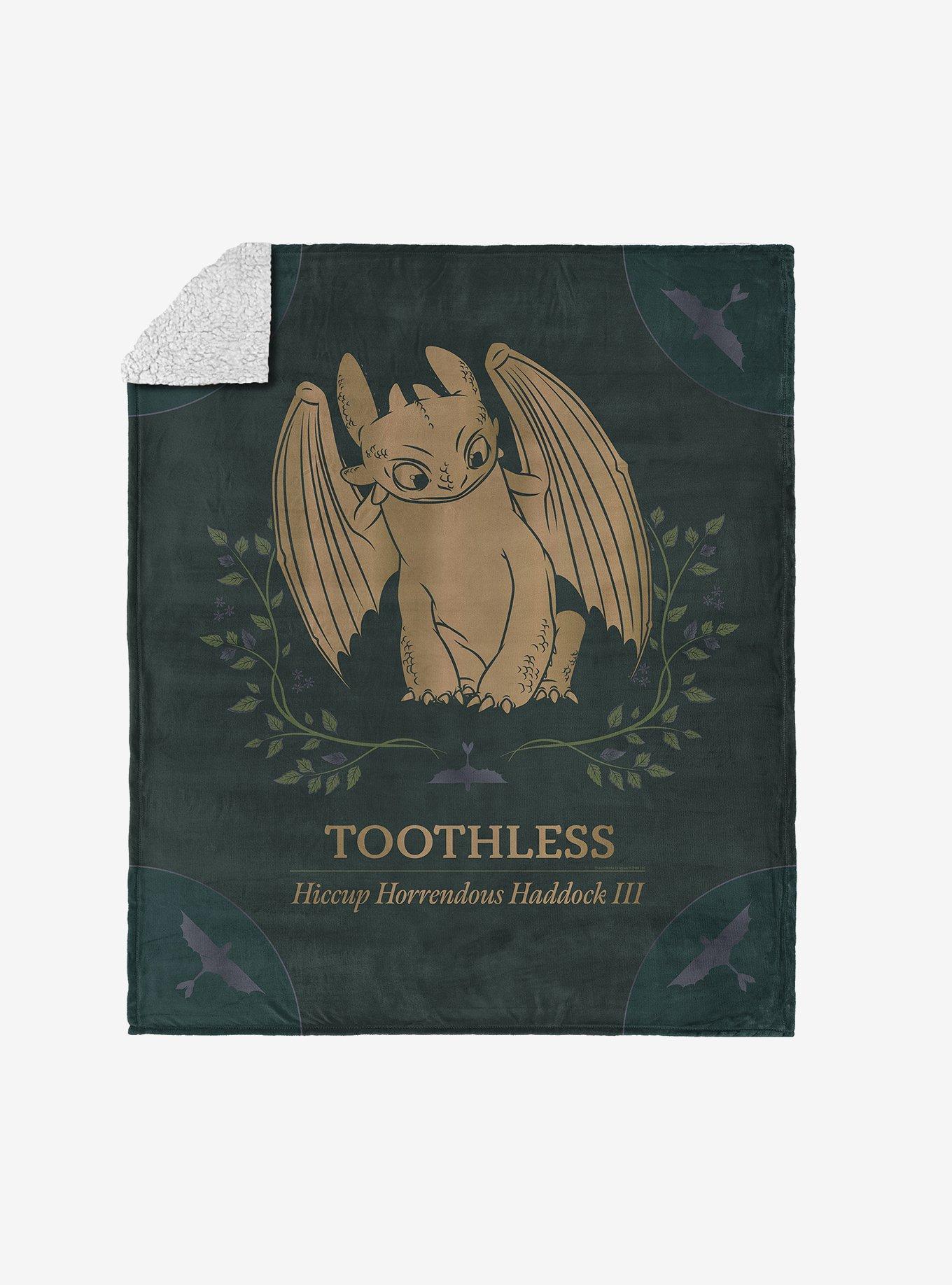How to Train Your Dragon Hiccup and Toothless Silk Touch Sherpa Throw Blanket, , hi-res