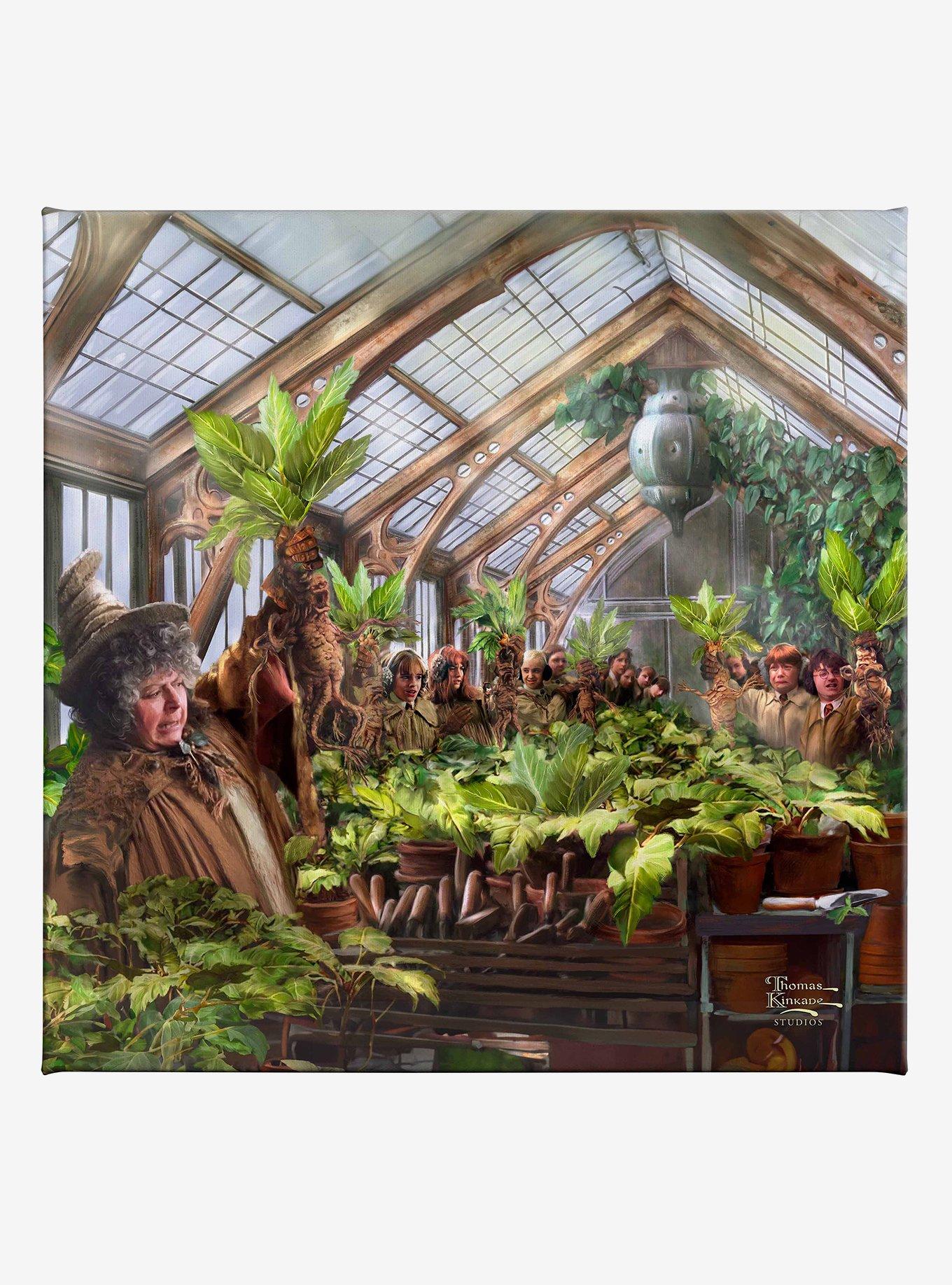 Harry Potter Hogwarts Greenhouse Gallery Wrapped Canvas, , hi-res