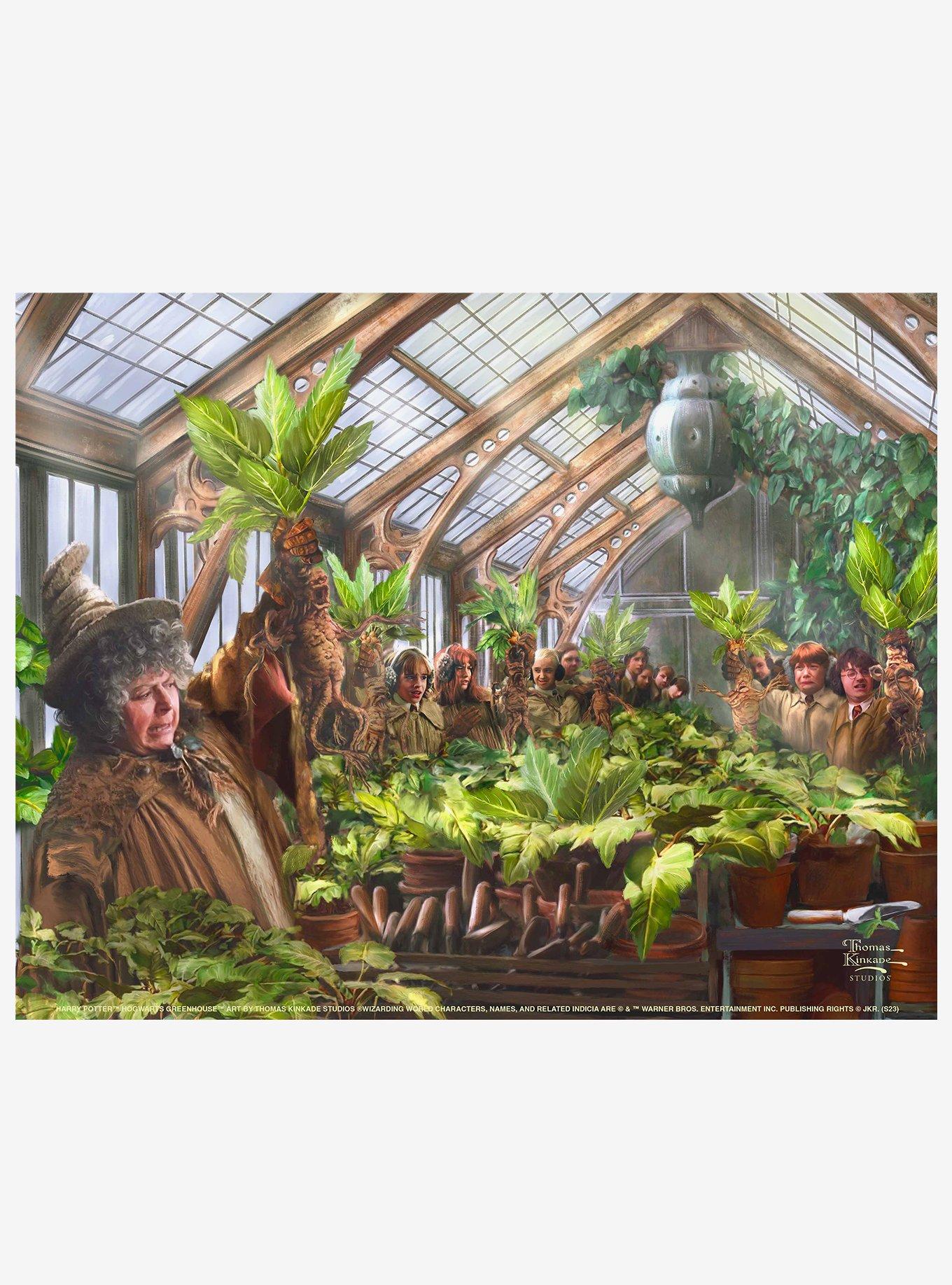 Harry Potter Hogwarts Greenhouse Art Prints, , hi-res
