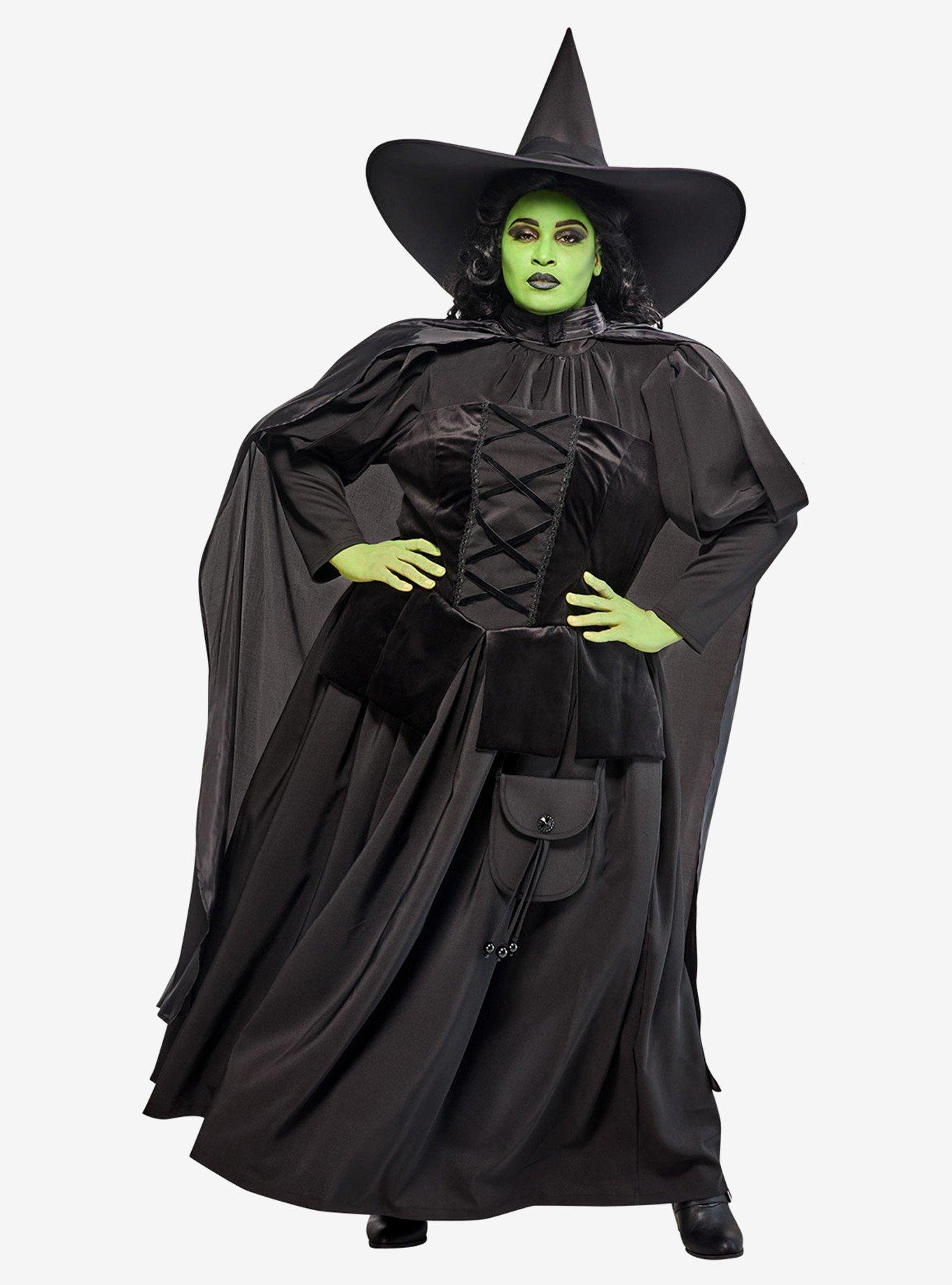 The Wizard of Oz Wicked Witch Plus Size Costume, , hi-res