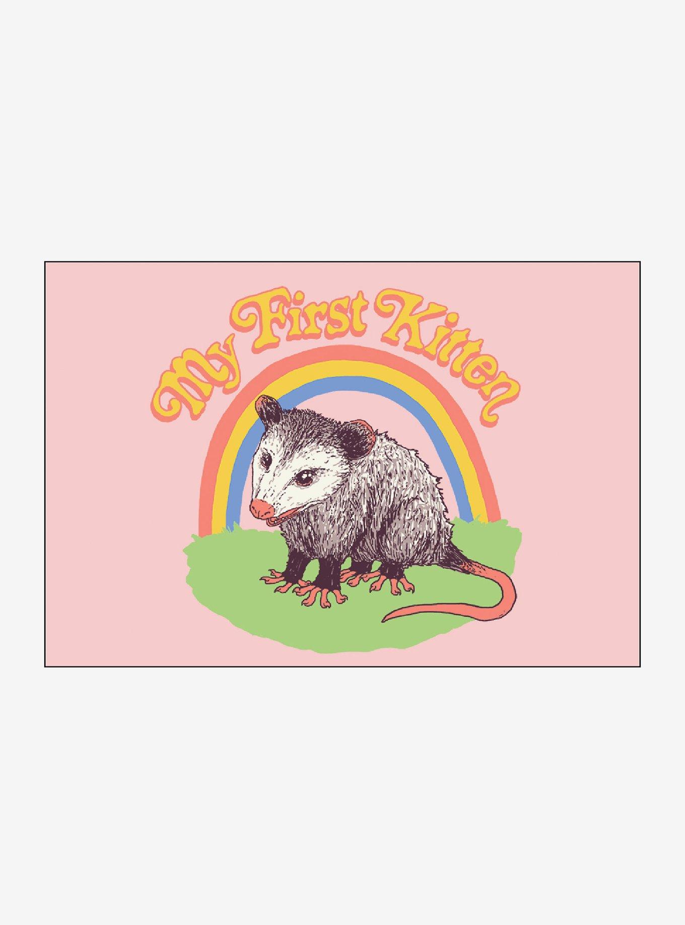 Possum First Kitten Magnet By Hillary White Rabbit, , hi-res