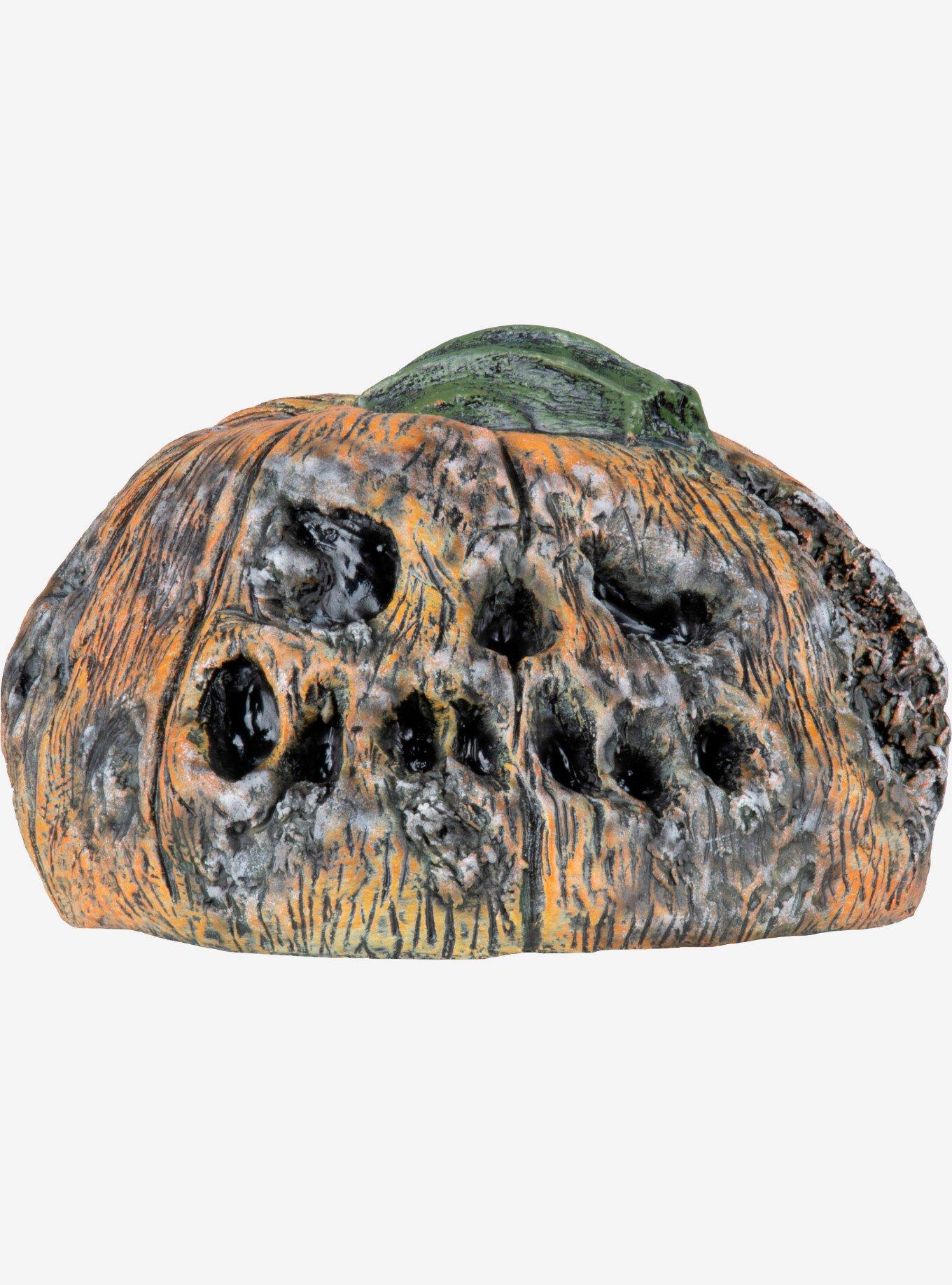 Rotten Pumkin 6 Pumpkin Props, , hi-res