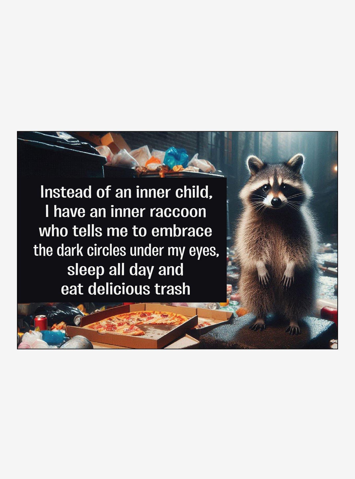 Embrace Inner Raccoon Magnet, , hi-res