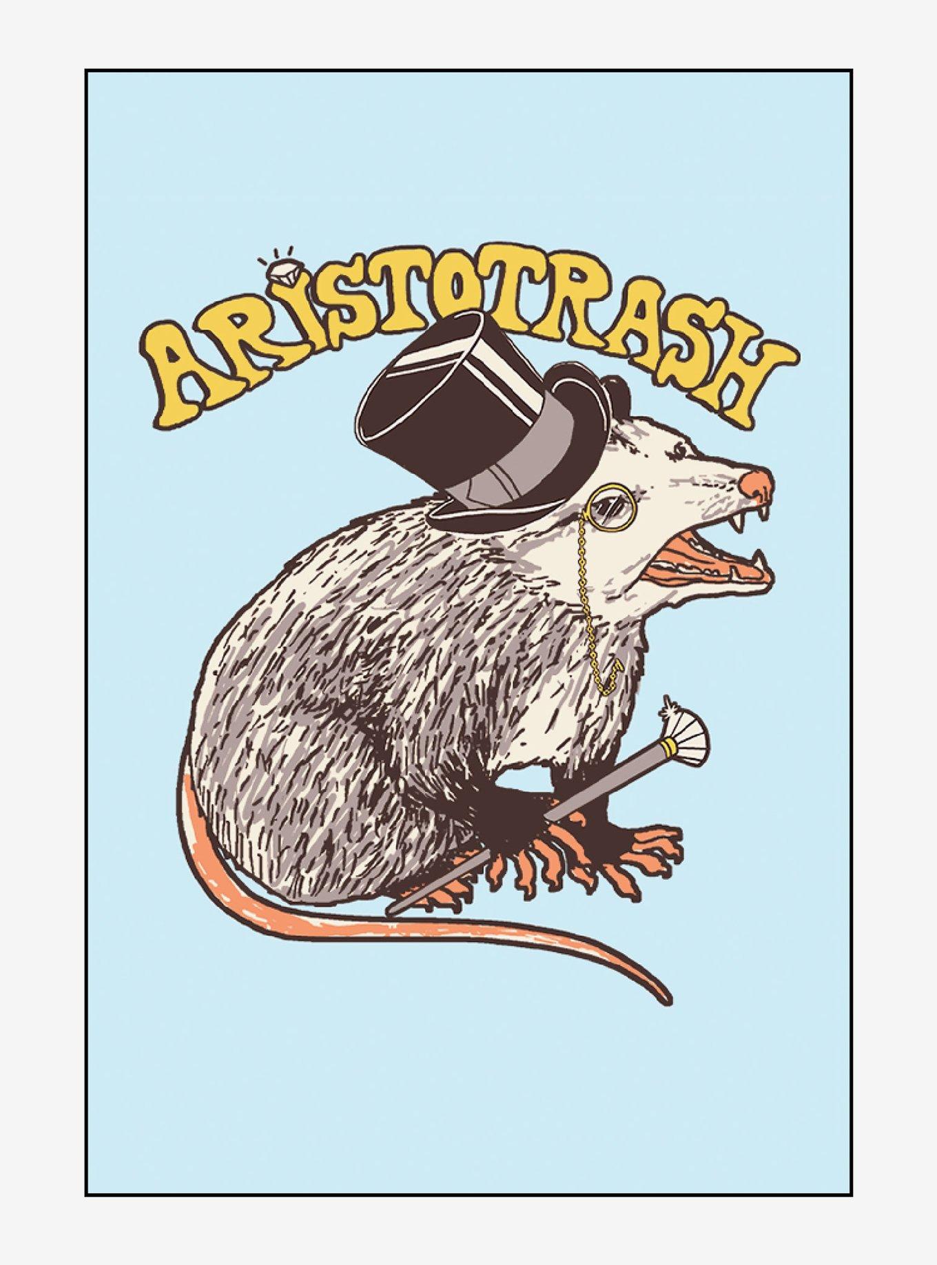 Aristotrash Possum Magnet By Hillary White Rabbit, , hi-res