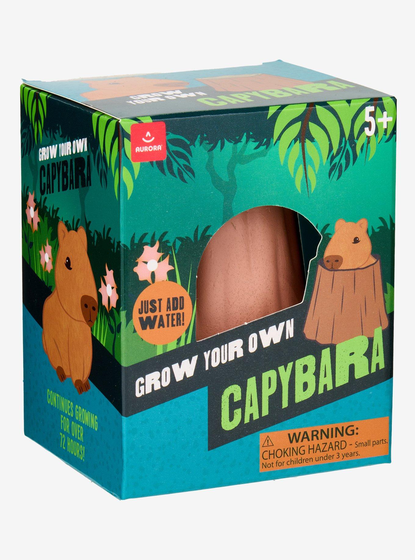 Grow Your Own Capybara Toy, , hi-res