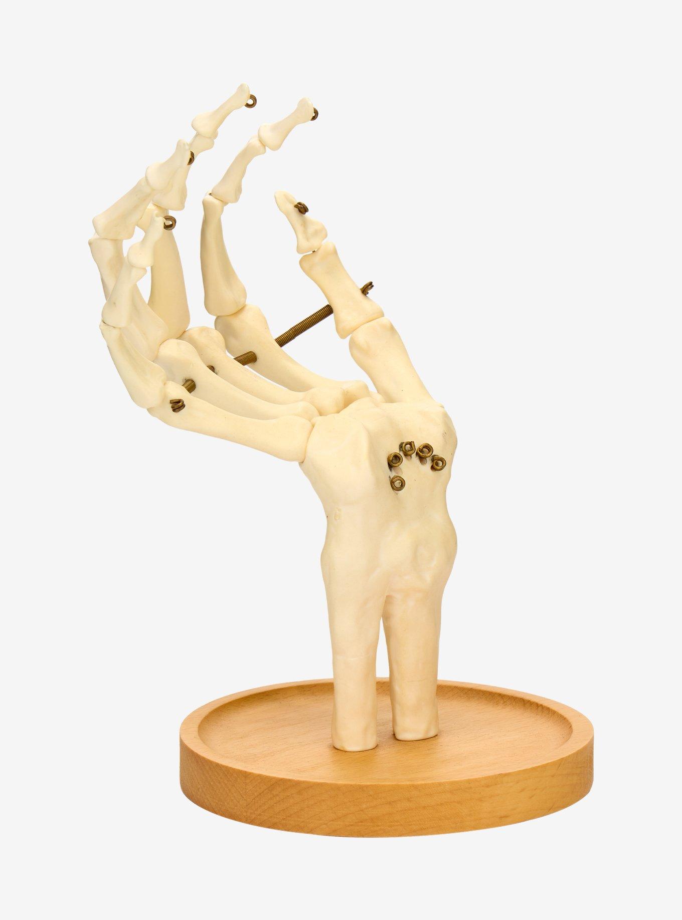 Skeleton Hand Jewelry Holder, , hi-res