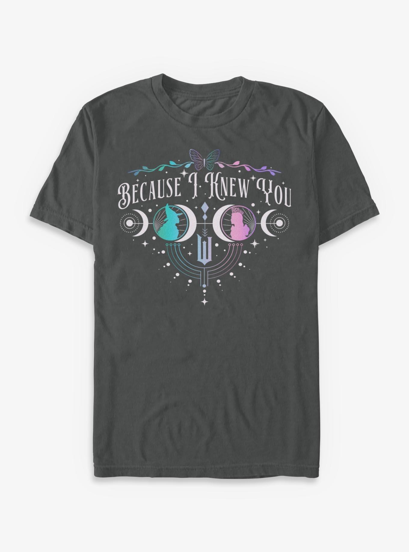 COMFORTCOLORS Wicked: For Good Because I Knew You Glinda & Elphaba Moon & Stars Garment Dye T-Shirt Hot Topic Exclusive
