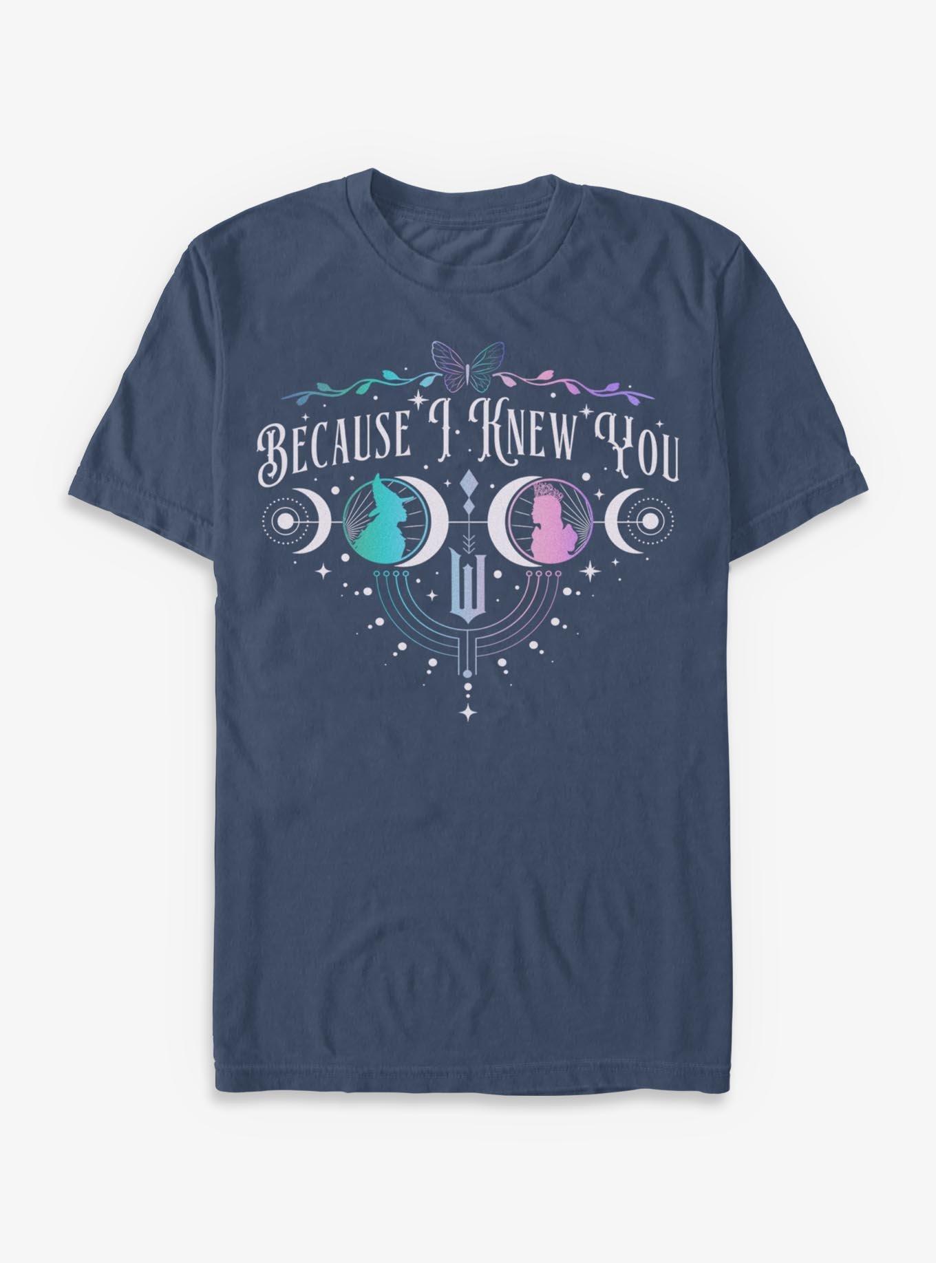 COMFORTCOLORS Wicked: For Good Because I Knew You Glinda & Elphaba Moon & Stars Garment Dye T-Shirt Hot Topic Exclusive