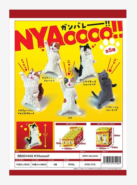 超レア ヒヨコブランド ダンガン Cats別注夜桜HIYOKOCUP2000景品 超レア ヒヨコブランド ダンガン Cats別注夜桜HIYOKOCUP2000景品