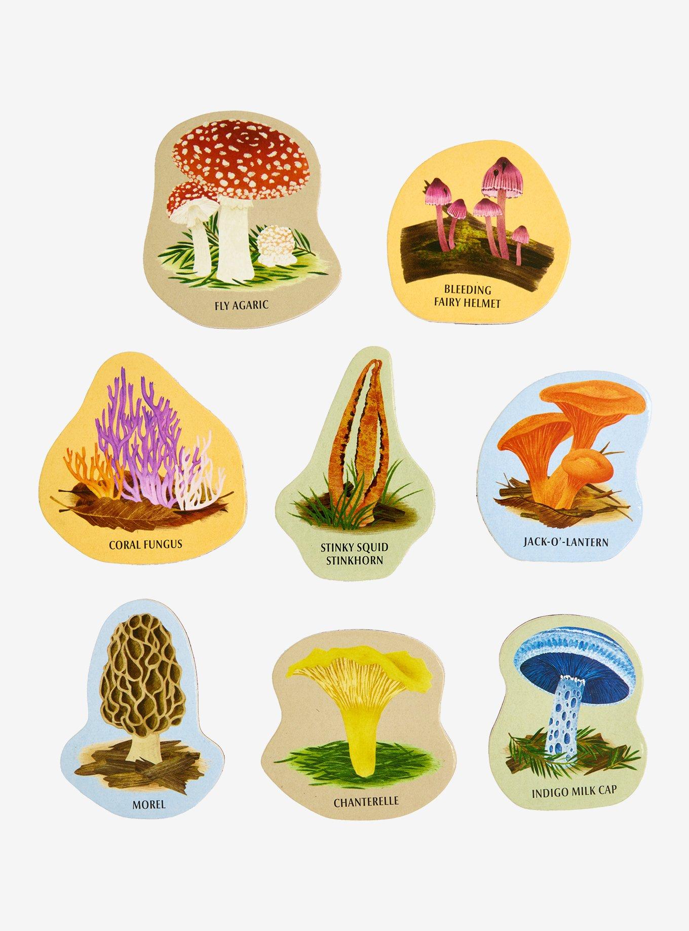 Mushrooms Wooden Magnet Set, , hi-res
